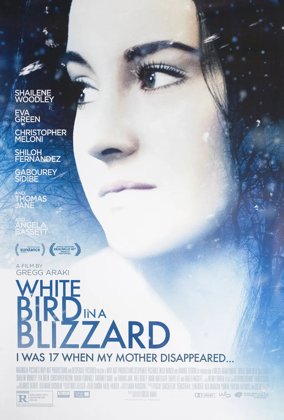 White Bird in a Blizzard (2014) cover