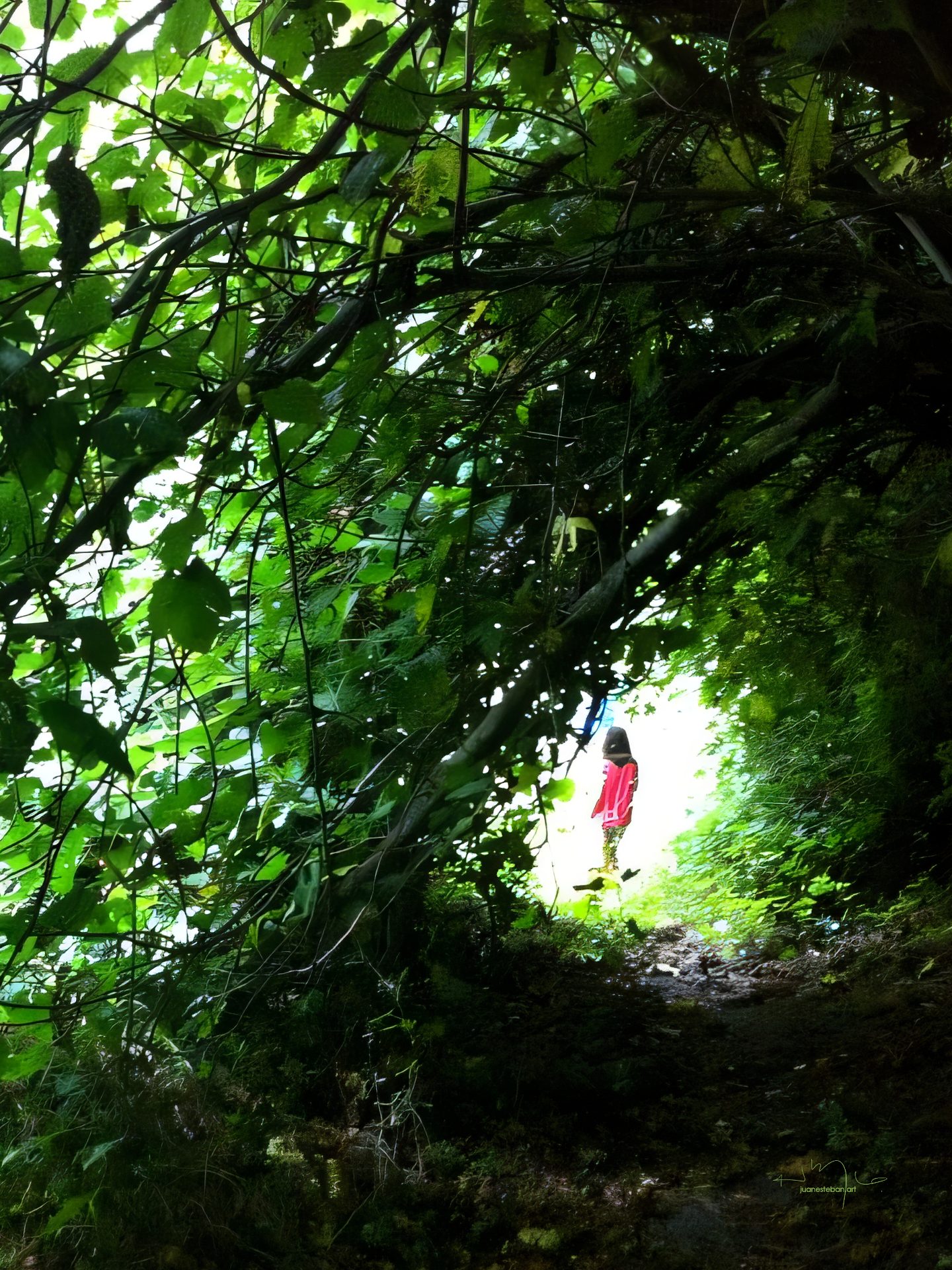 La alfabetización, sin arte, se queda corta cover