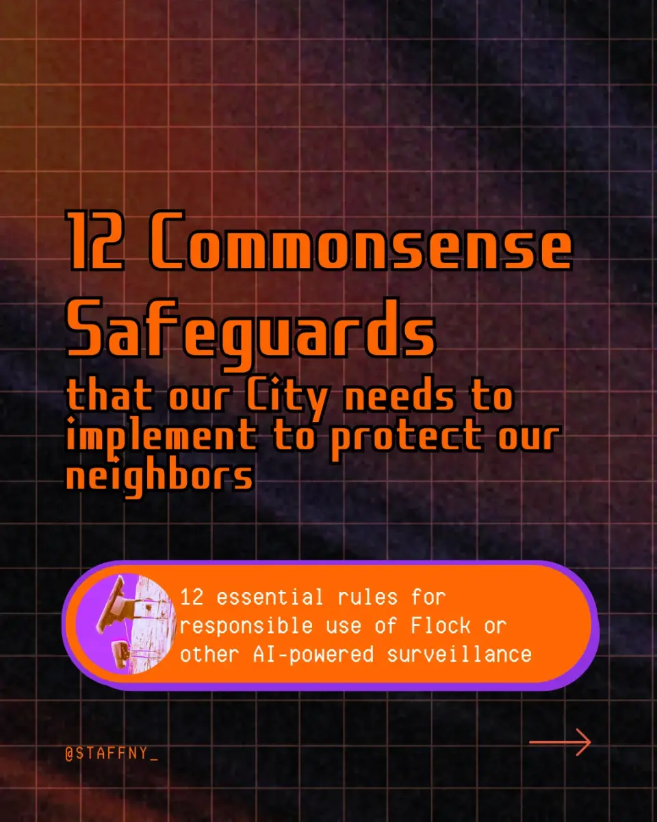 12 Commonsense Safeguards cover