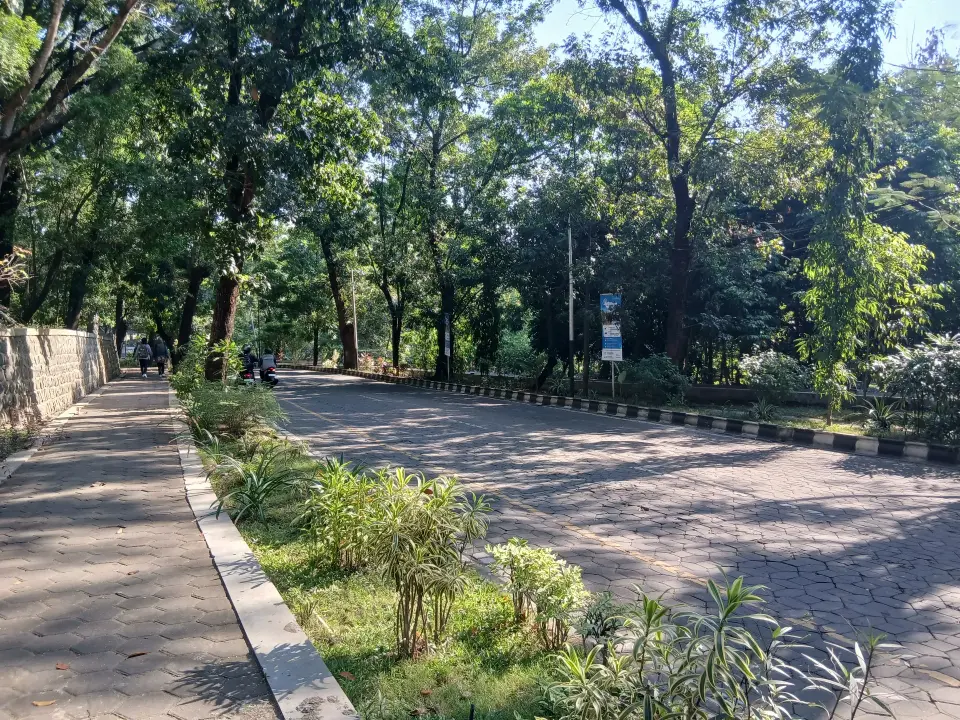 Afternoon Stroll at Campus cover