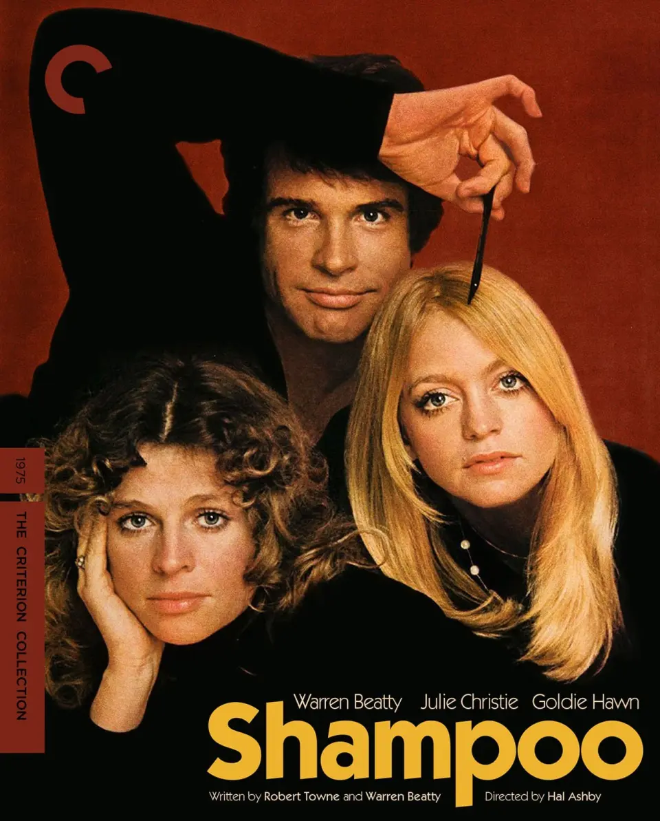 Shampoo (1975) cover