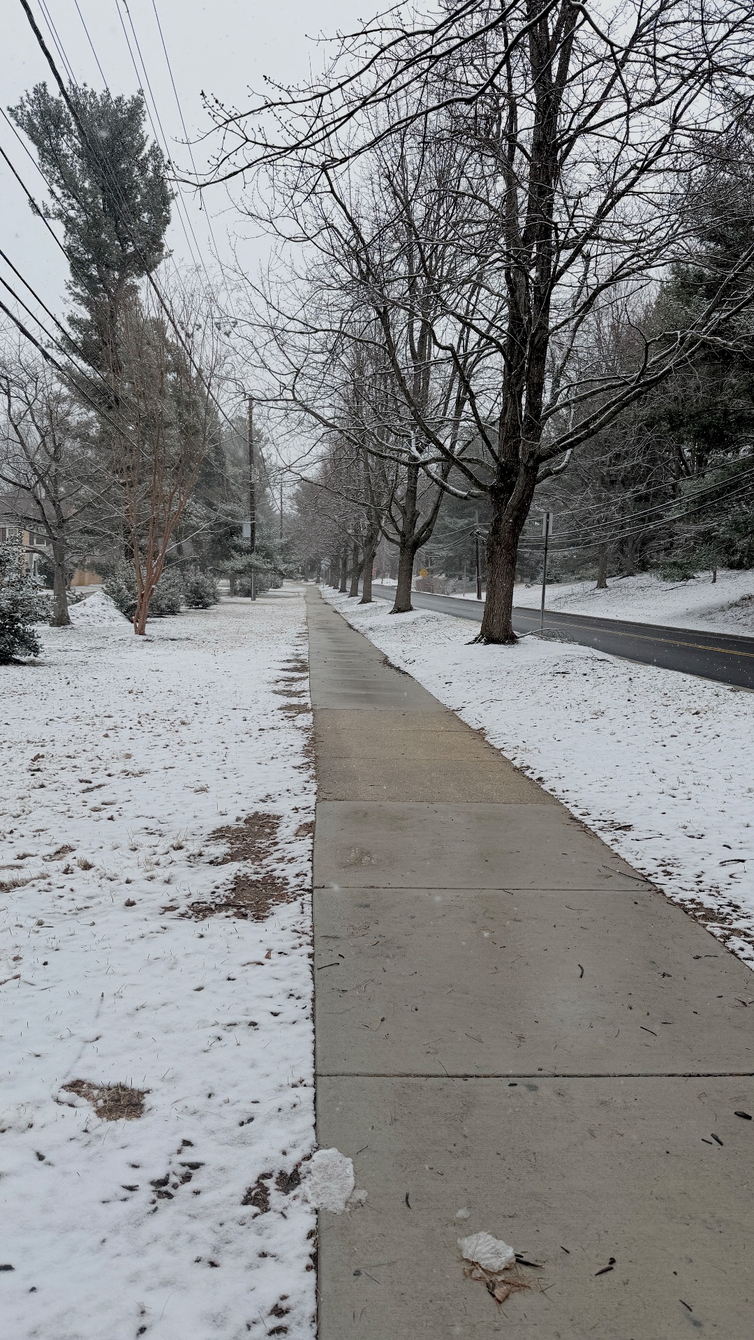 This post is a test cover