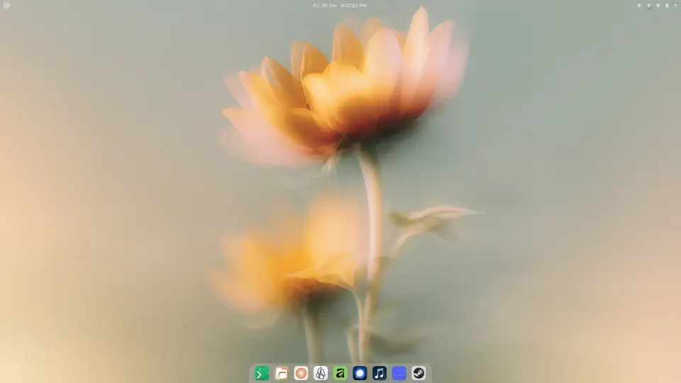 My Setup cover