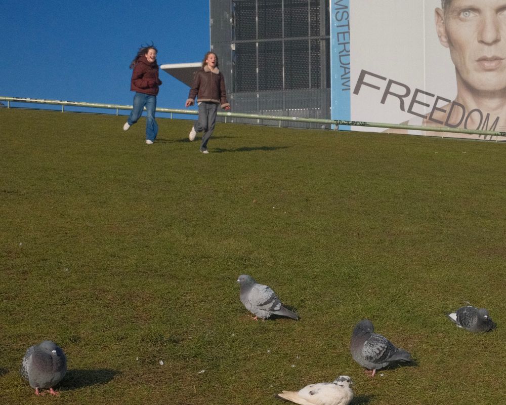 Getting the Shot cover