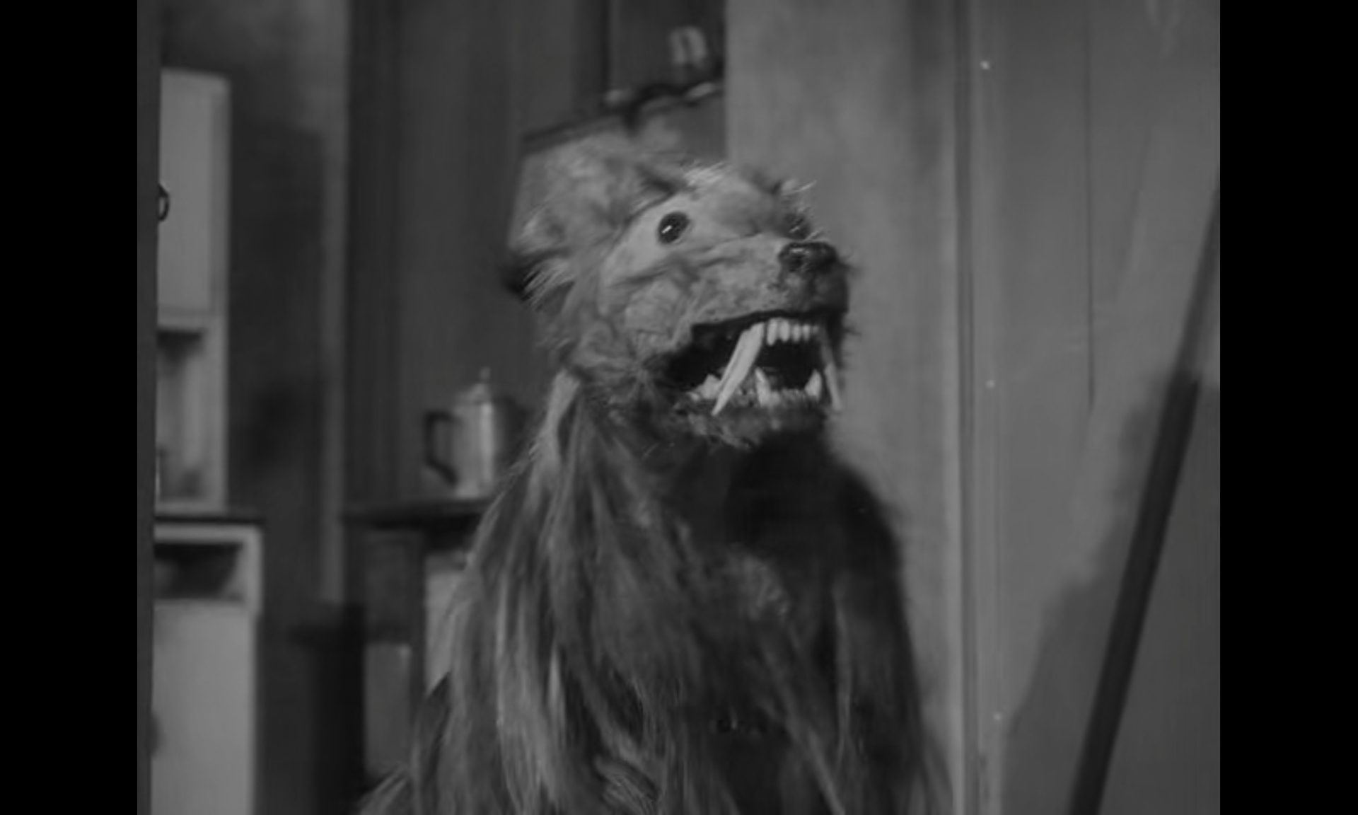 The Killer Shrews (1959) cover