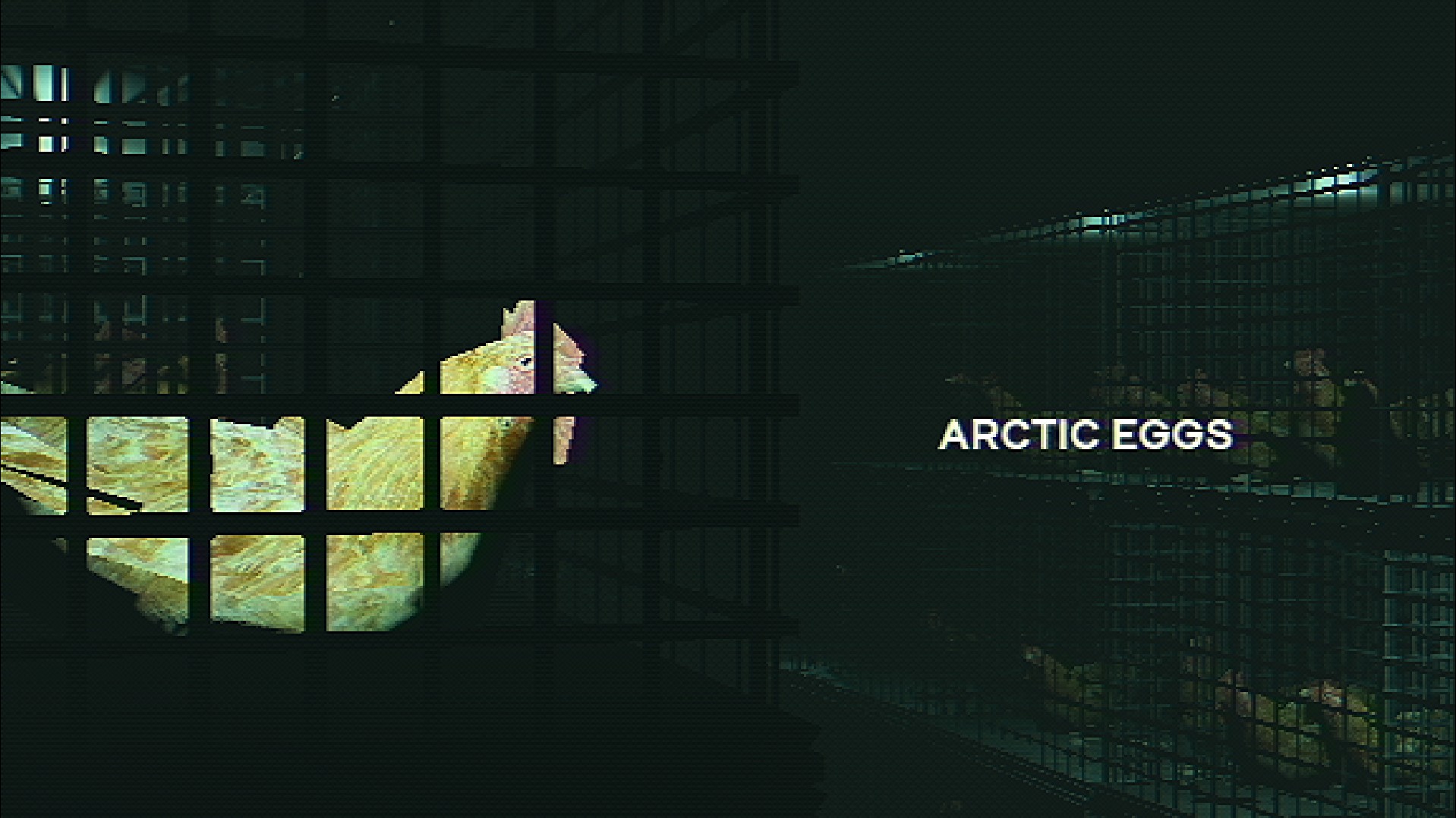 Arctic Eggs cover