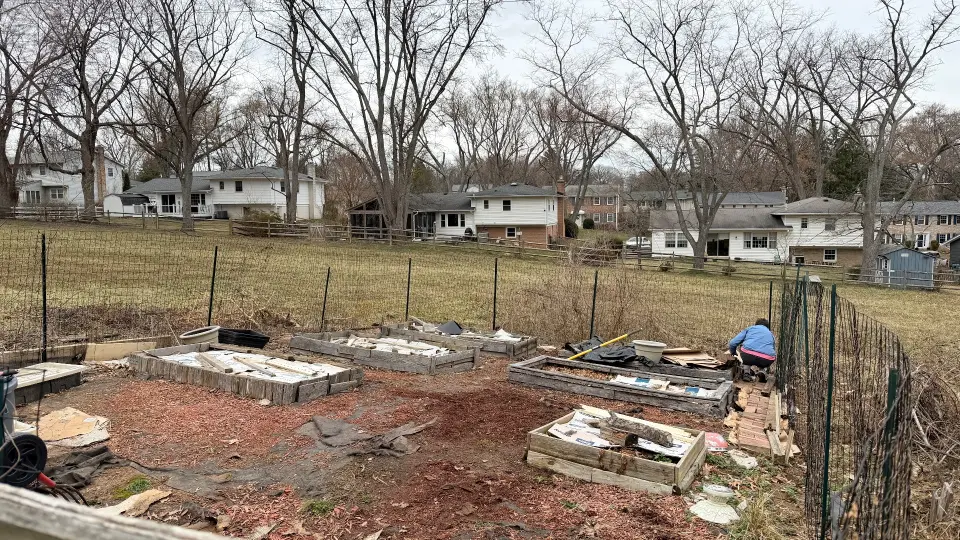 Vegetable garden update - March 8, 2036 cover