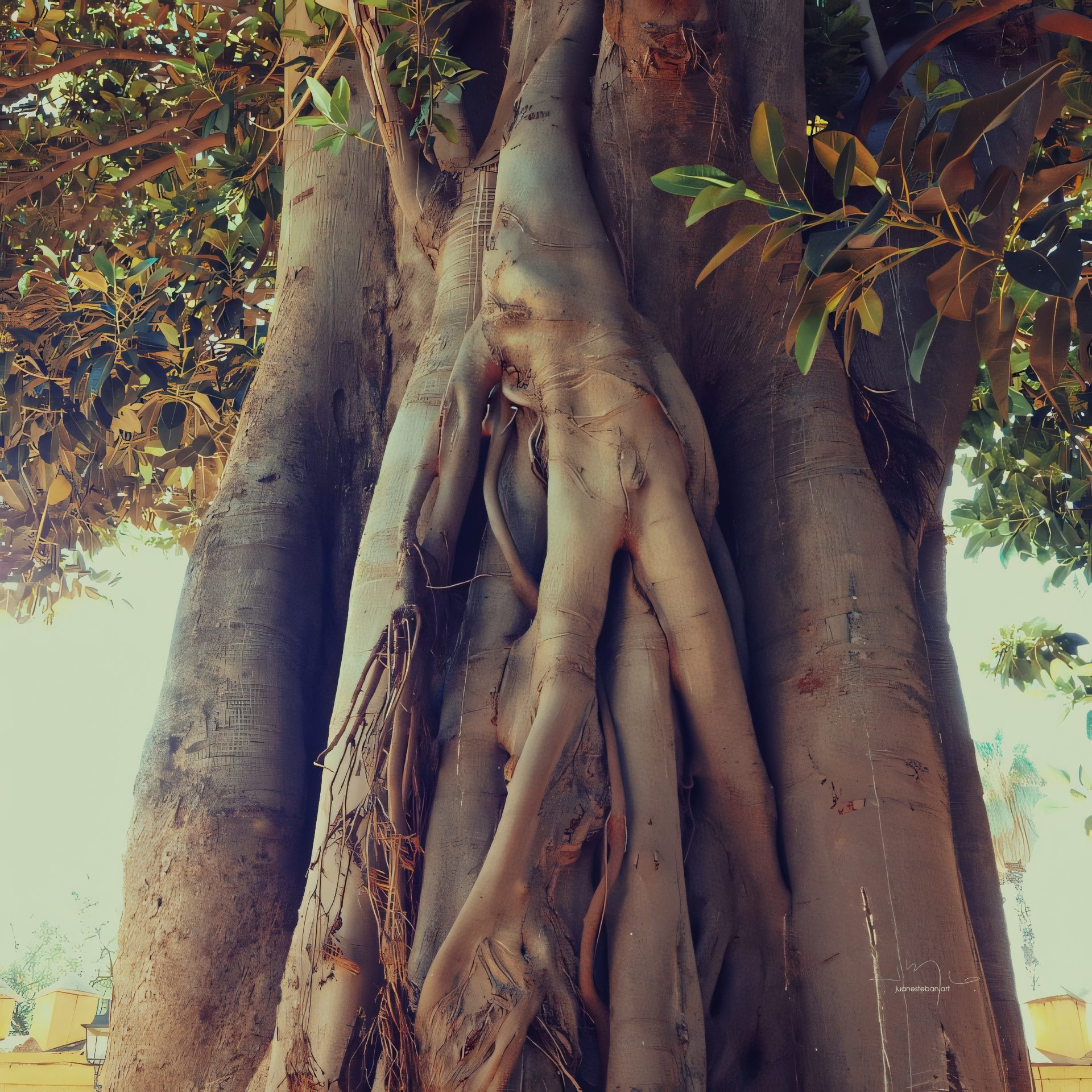 El arte digital como puente: inclusión, tecnología y una invitación rural cover