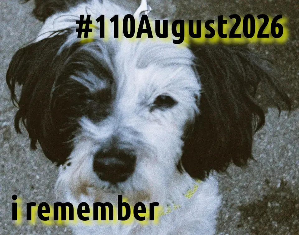 #110August2026 cover