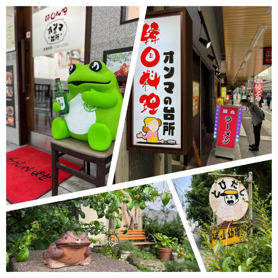 Two Neighborhood Frogs, Itabashi, Tokyo, Japan cover