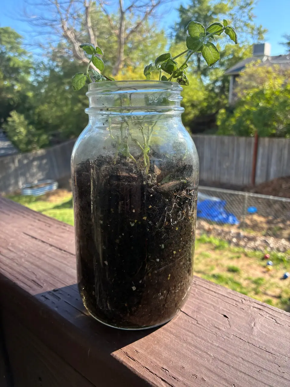 Should you put worms in your plant pots? It depends. cover