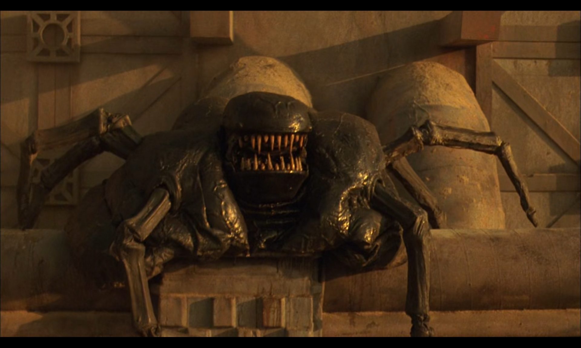 Forbidden World (1982) cover