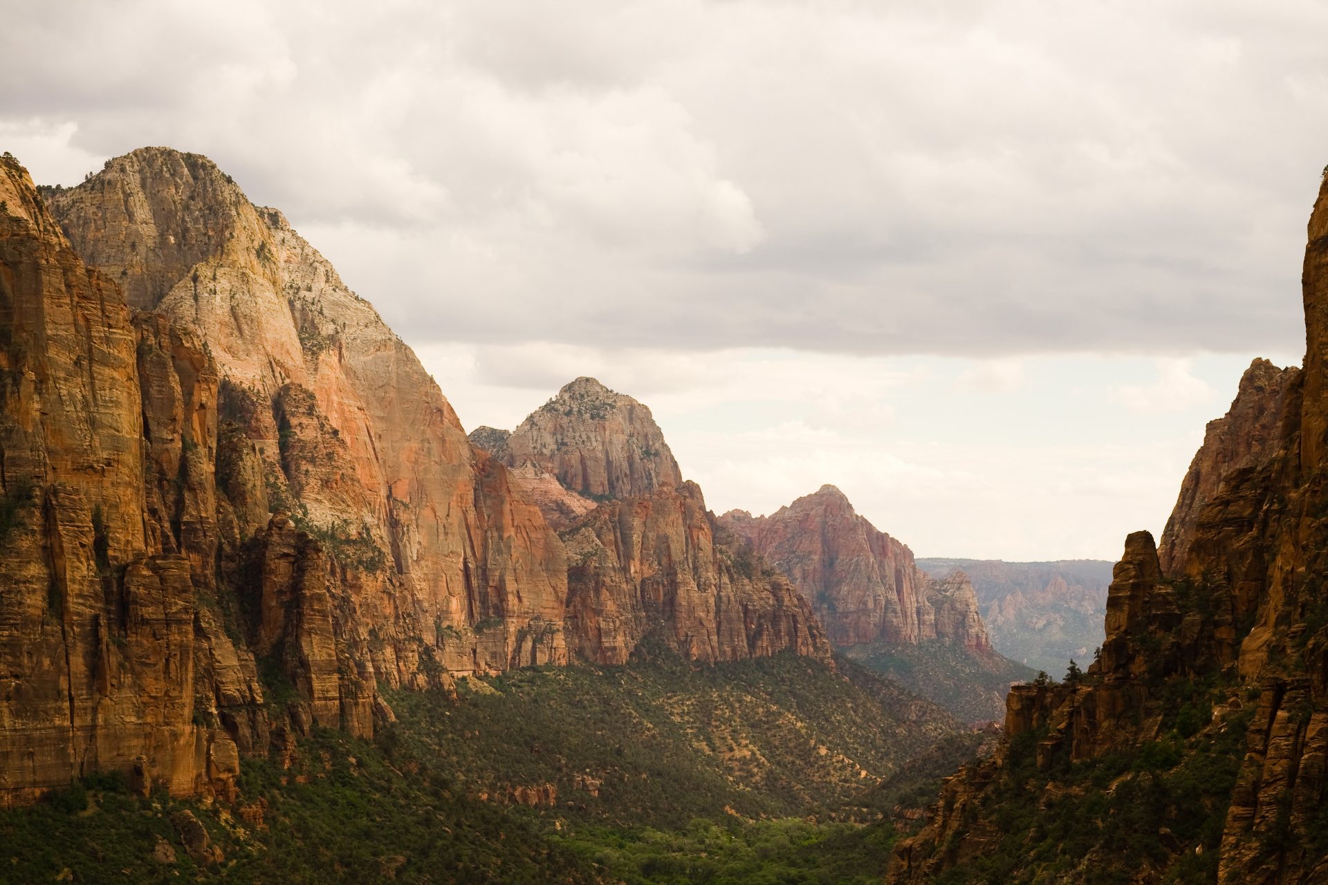 Zion National Park, 2009 cover