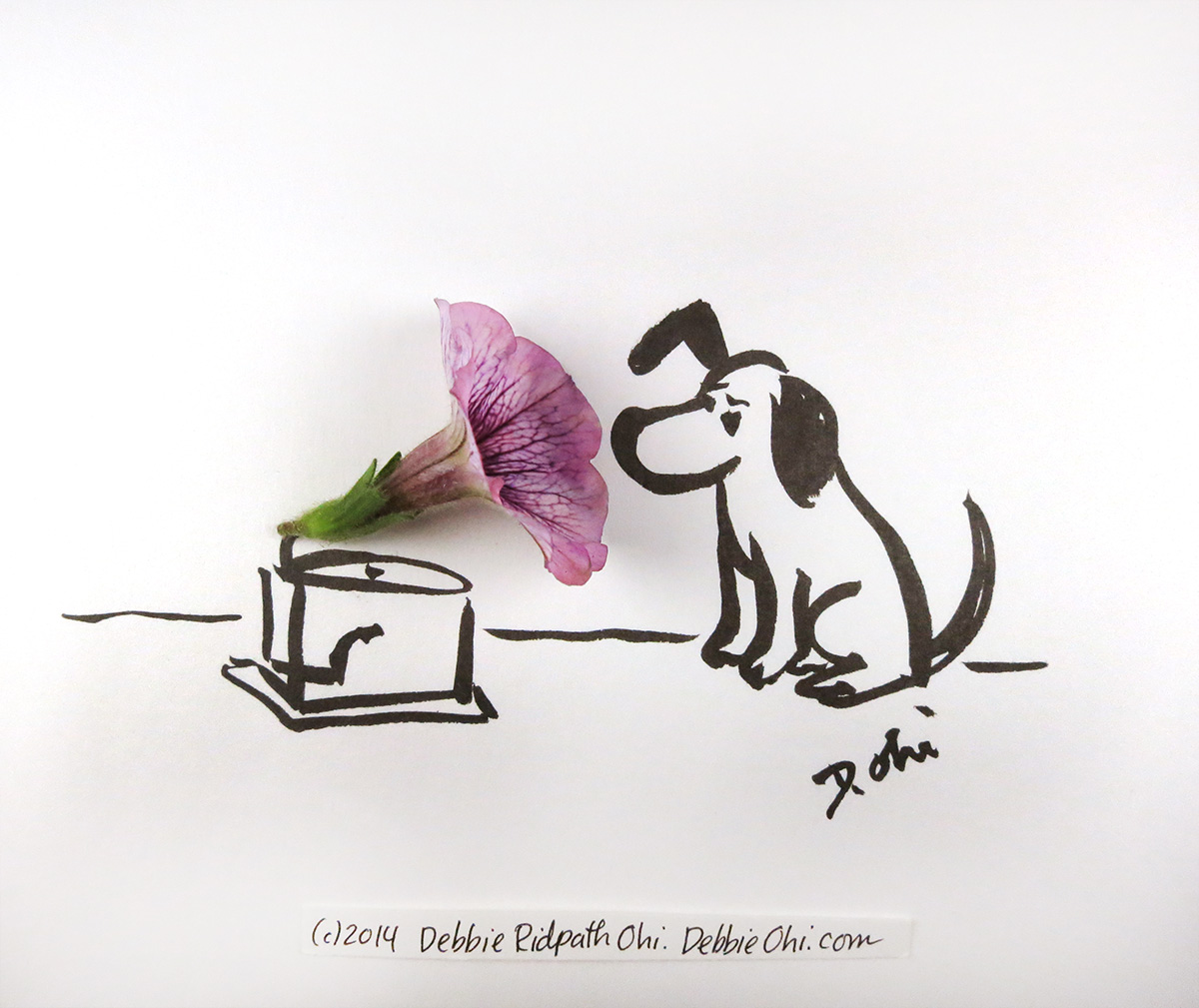 Ink drawing of a dog sitting and listening to a phonograph, with a real purple petunia flower used as the horn of the phonograph. Signed “D. Ohi” with the copyright noted as ©2014 Debbie Ridpath Ohi.