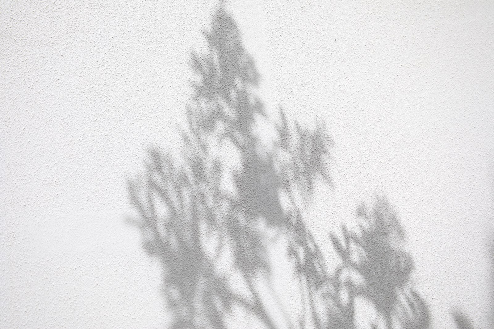 PDSとしてpckt.cafeを使ってみる cover