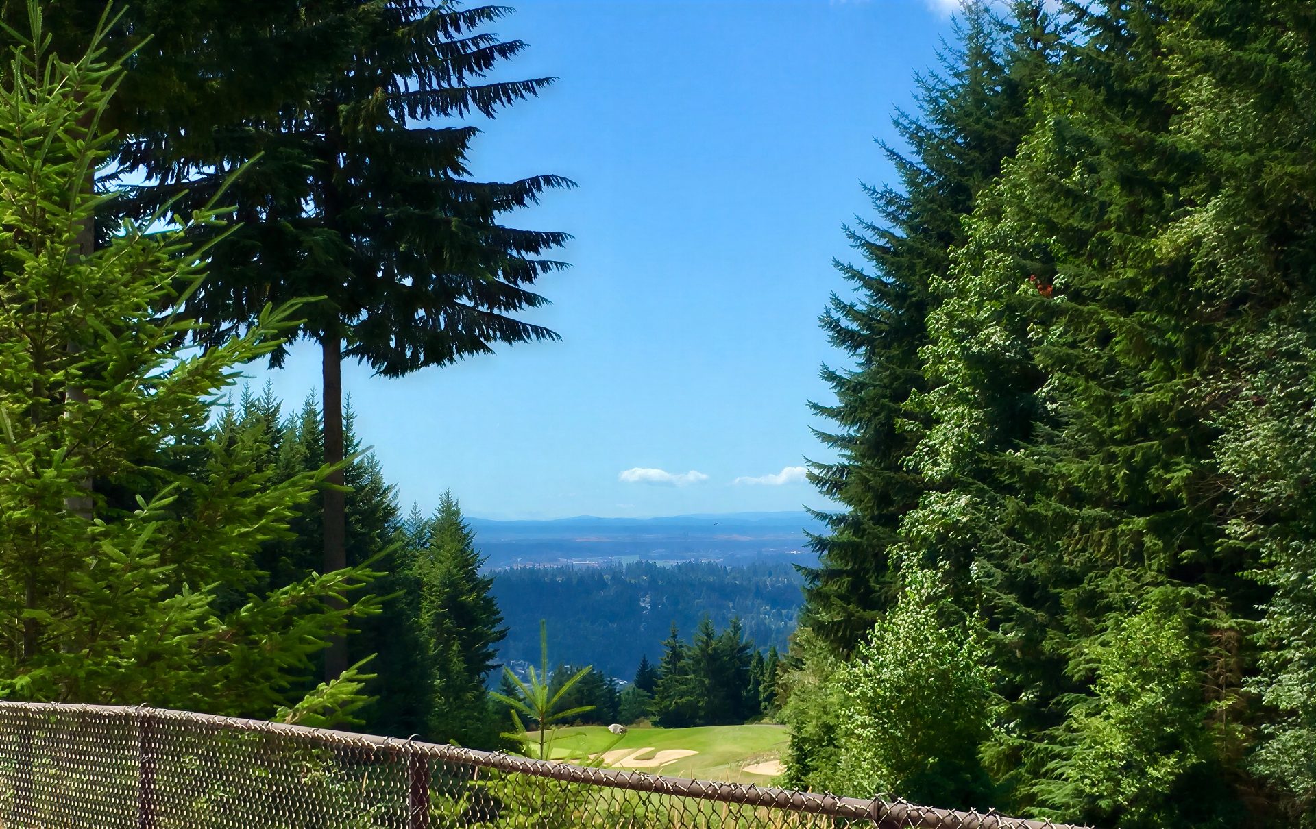 Overlooking Vancouver, BC, from Burnaby Mountain Park.
