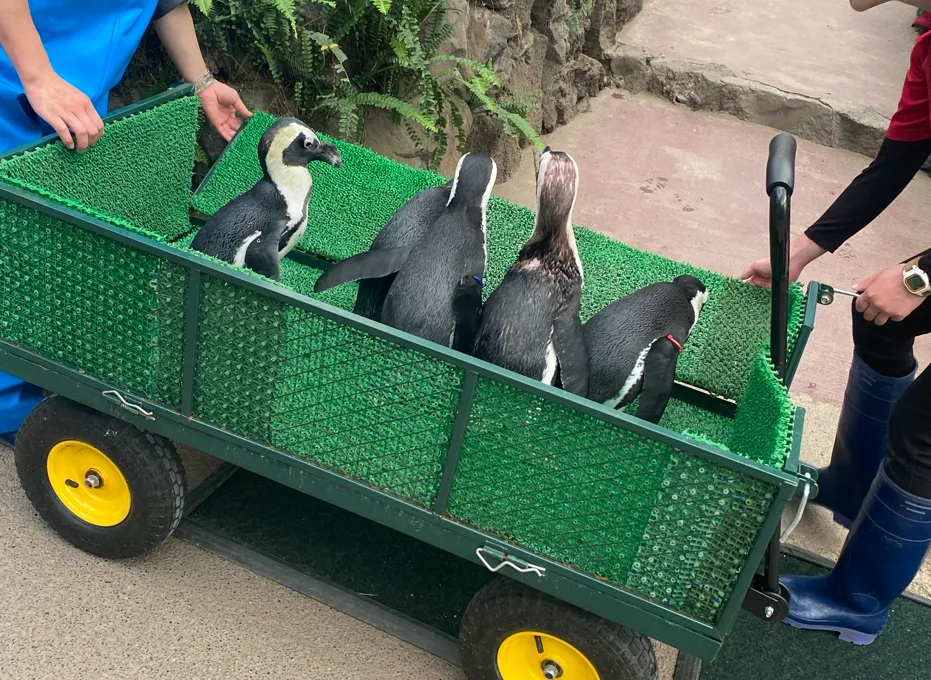 Pasted image 20260318052635.png