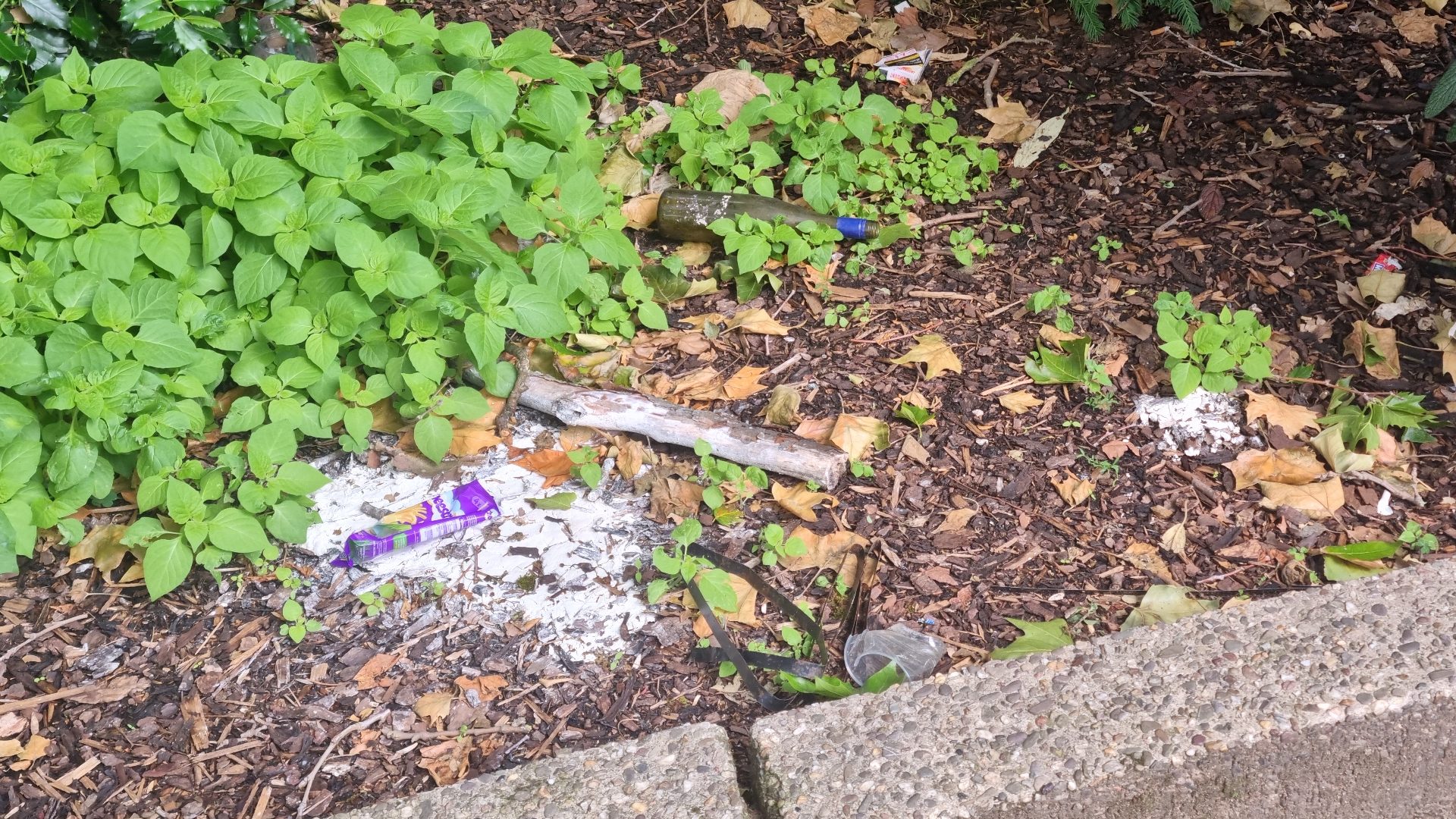 Aball in einem Pflanzenbeet.