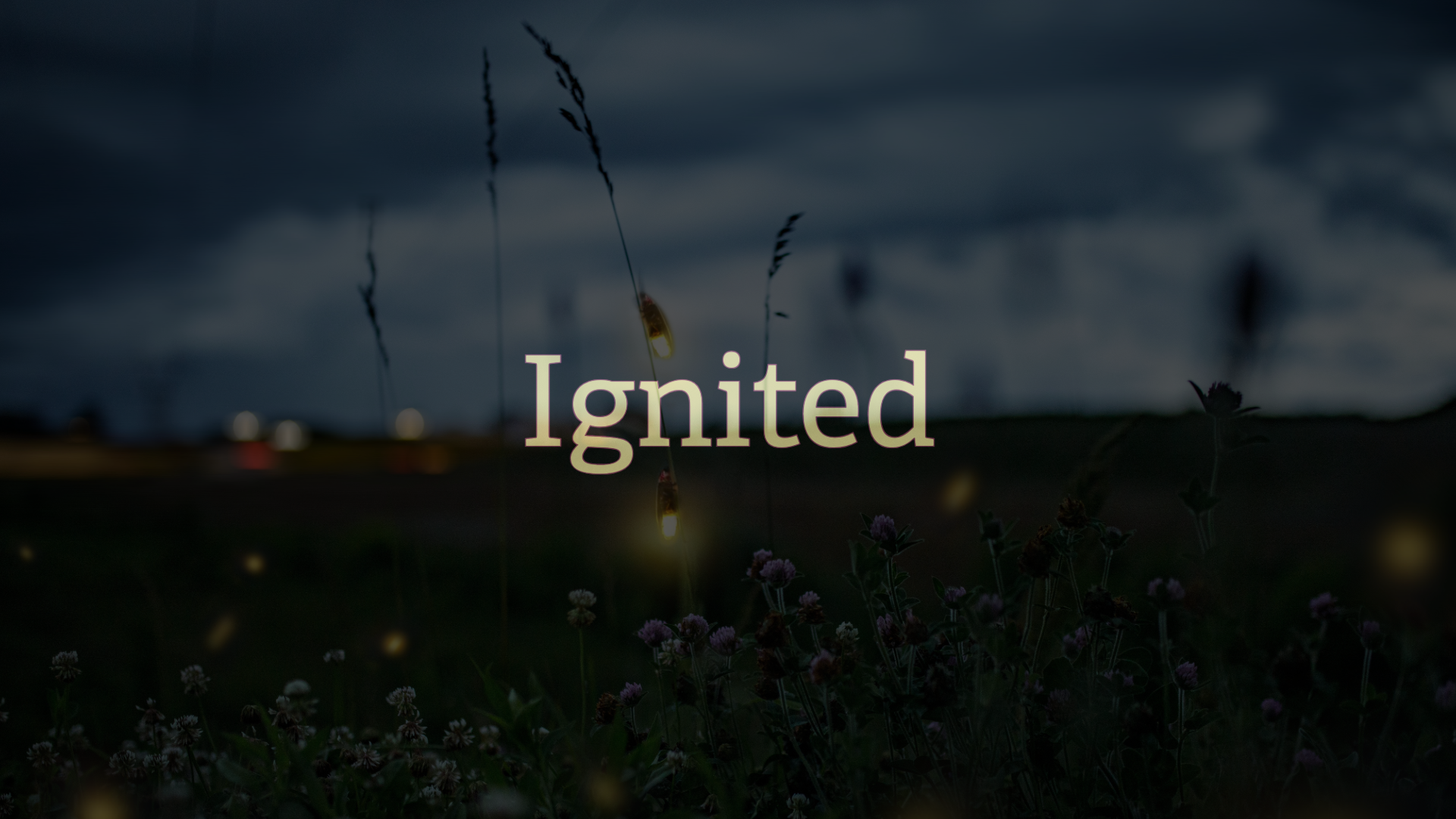 graphic image of the title "Ignited" with the faint background of a field with little flickers (fireflies)