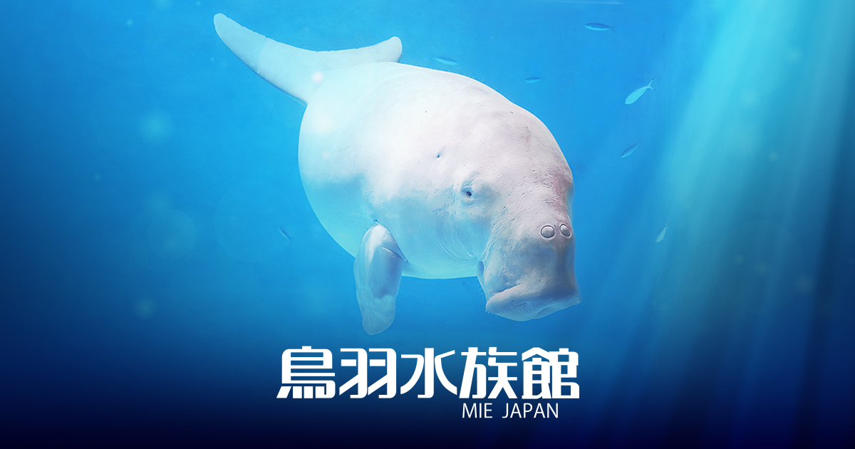 鳥羽水族館 公式サイト