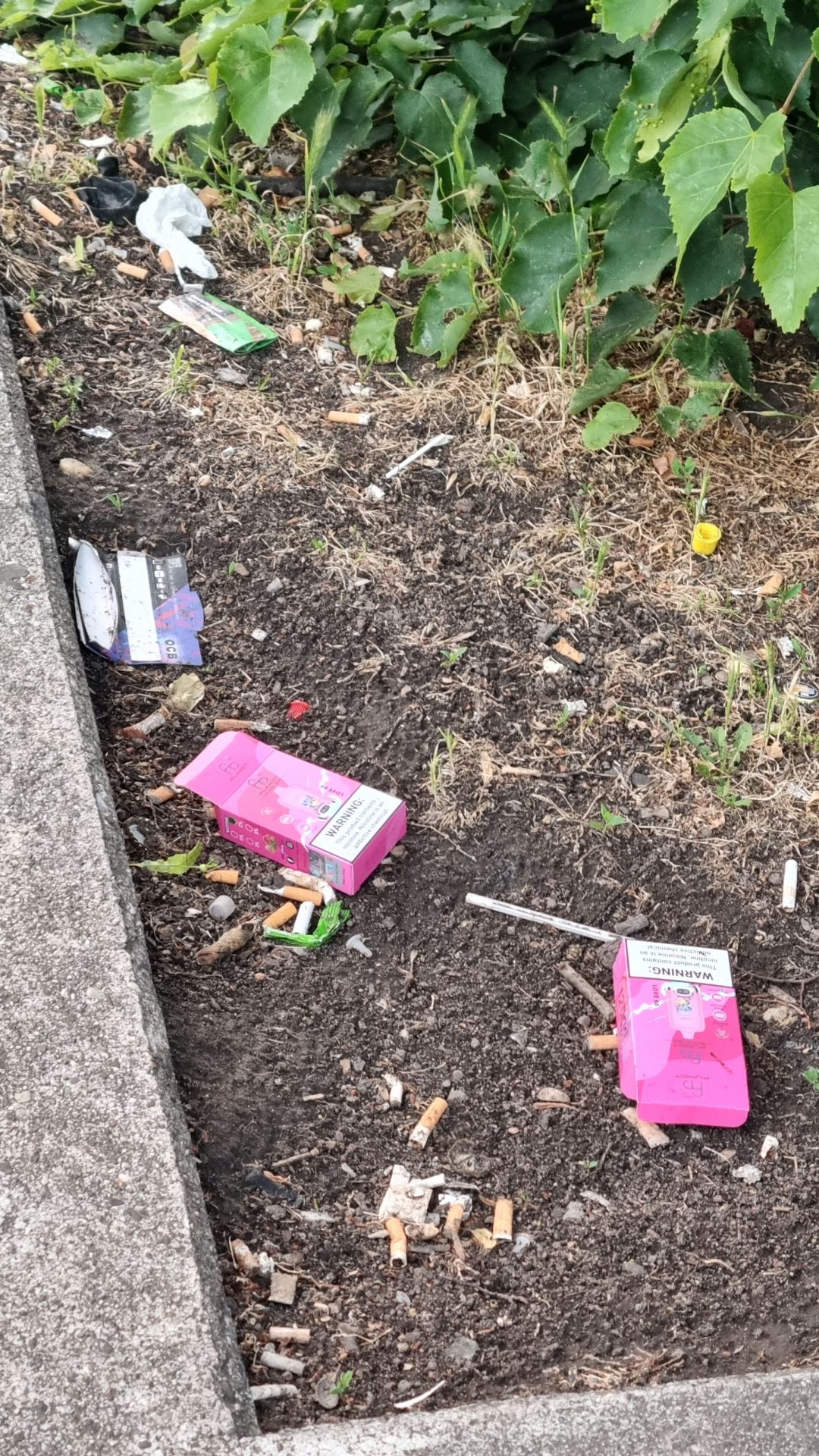 Abfall in einem Pflanzenbeet.