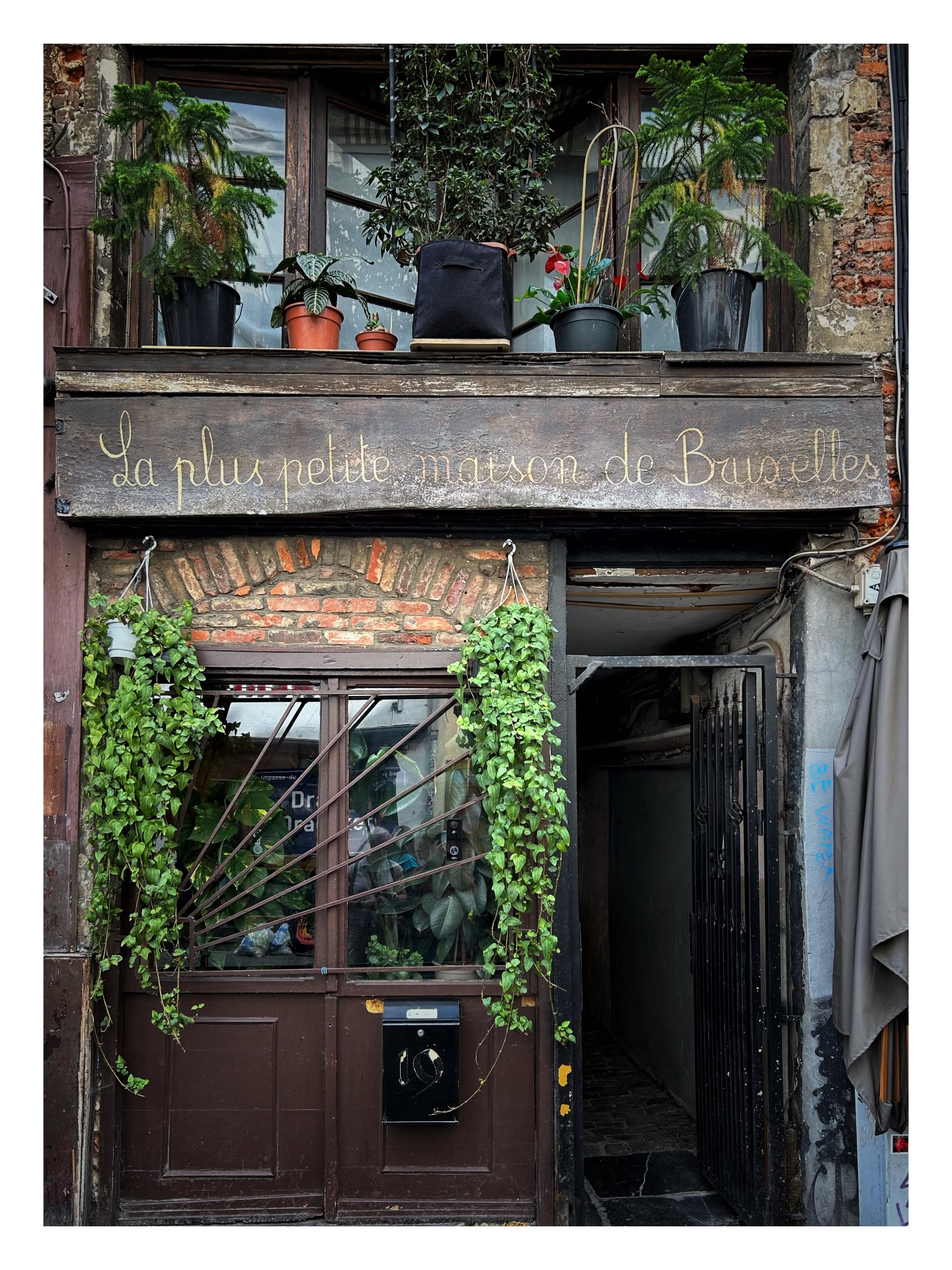 A narrow, historic brick storefront with a dark brown wooden door and window frame covered by a black iron security grate. Two lush green trailing plants hang on either side of the window, framing the facade. Above the entrance, a weathered wooden sign features the handwritten gold script cursive text, "La plus petite maison de Bruxelles." The upper window sill functions as a small balcony packed with multiple potted plants and small decorative trees. To the right of the storefront, an open, dark alleyway sits behind an open black wrought-iron security gate, with a folded grey patio umbrella standing nearby.