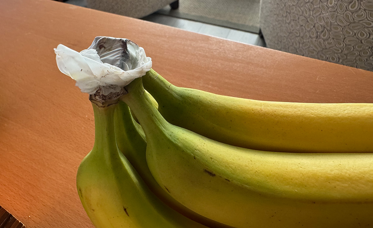 A bunch of green and yellow bananas on a wooden table, with the joined stems wrapped in white plastic.