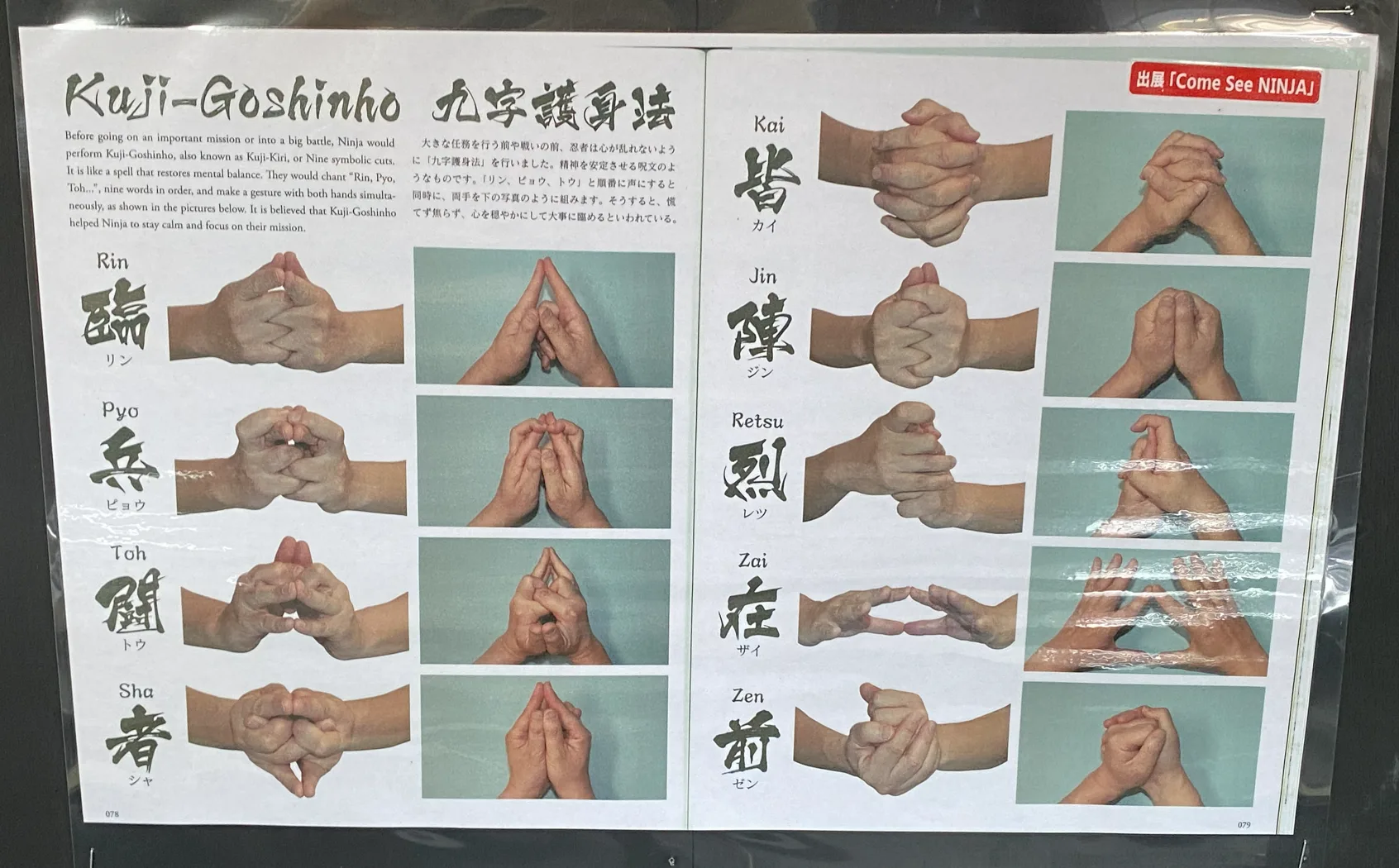 Pasted image 20260318050238.png