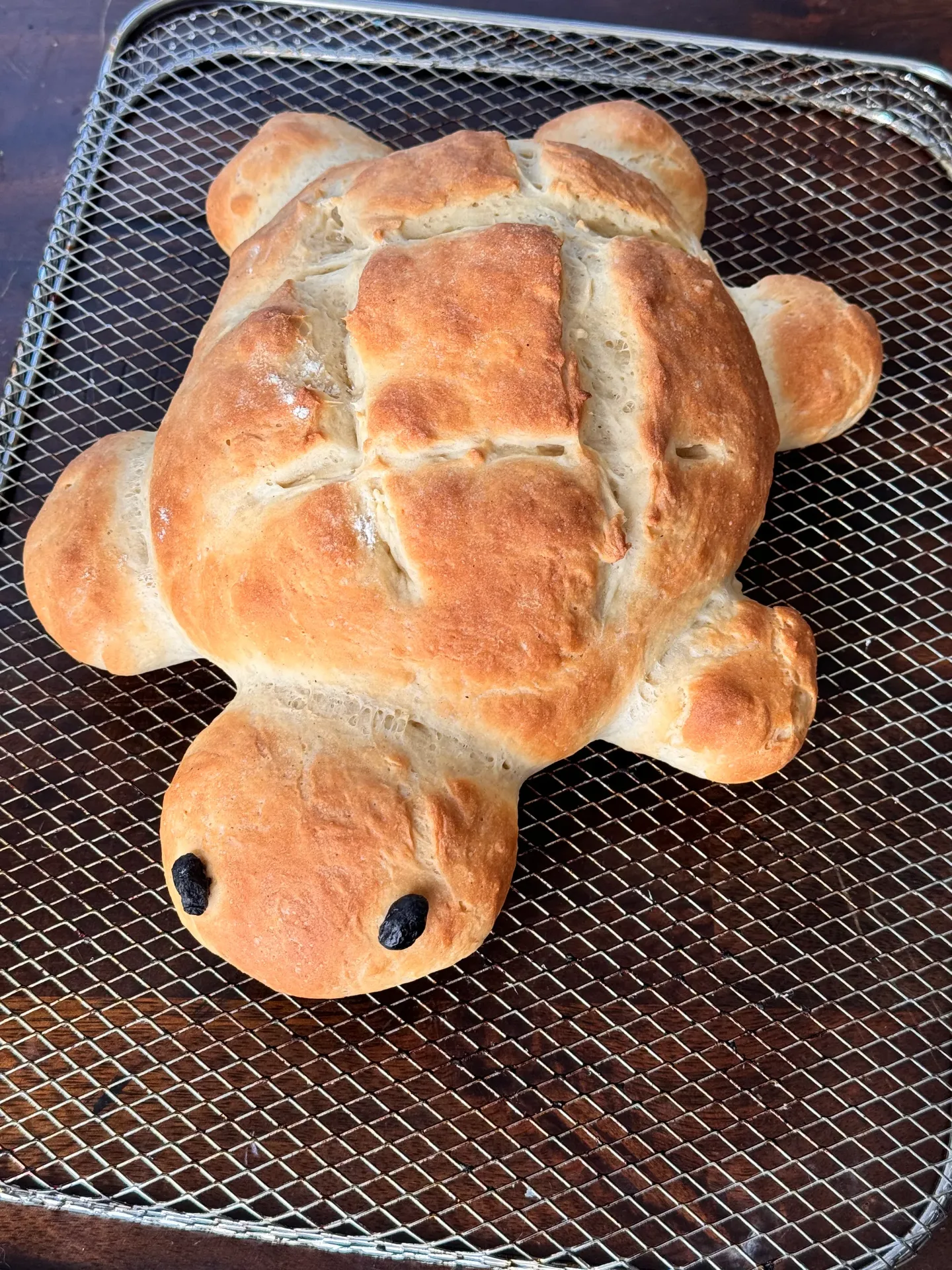 bread baked into the shape of a turtle with raisins for eyes