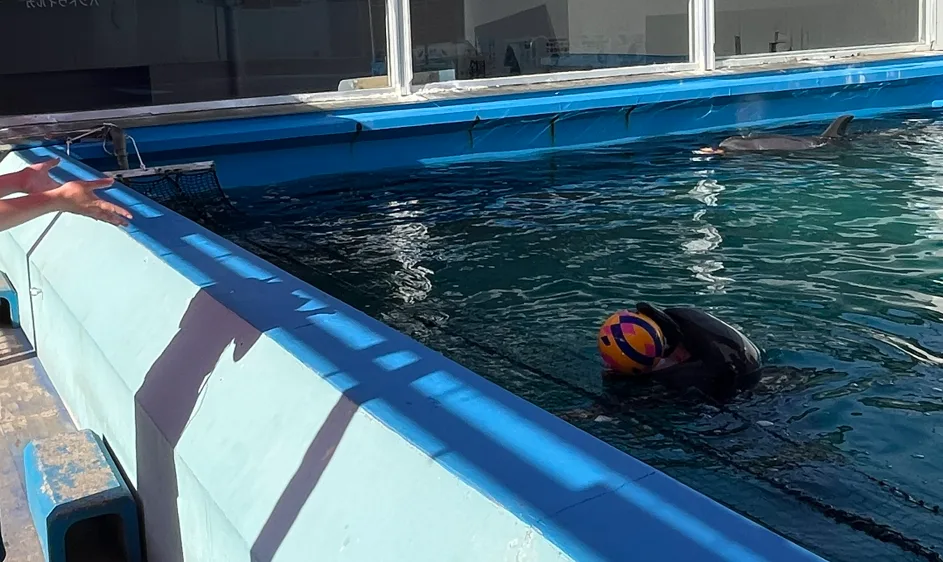 Pasted image 20260318053500.png