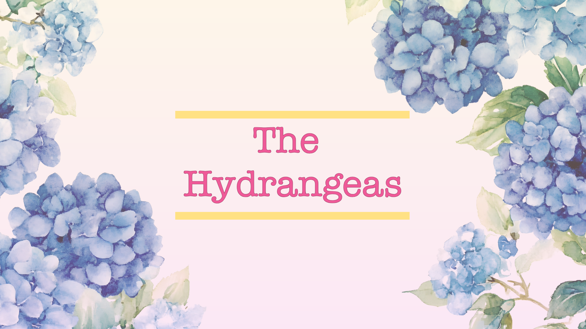 Graphic made in Adobe Express -- "The Hydrangeas" which is the title of the poem in the middle with graphic of hydrangea flowers around the edge as a frame or border. The color palette suggests warmth and softness.