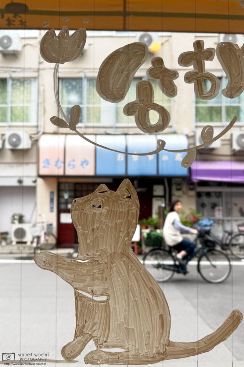 Through a window painted with a cat silhouette, we are looking at a suburban street with a bicycle passing in front of an old restaurant.