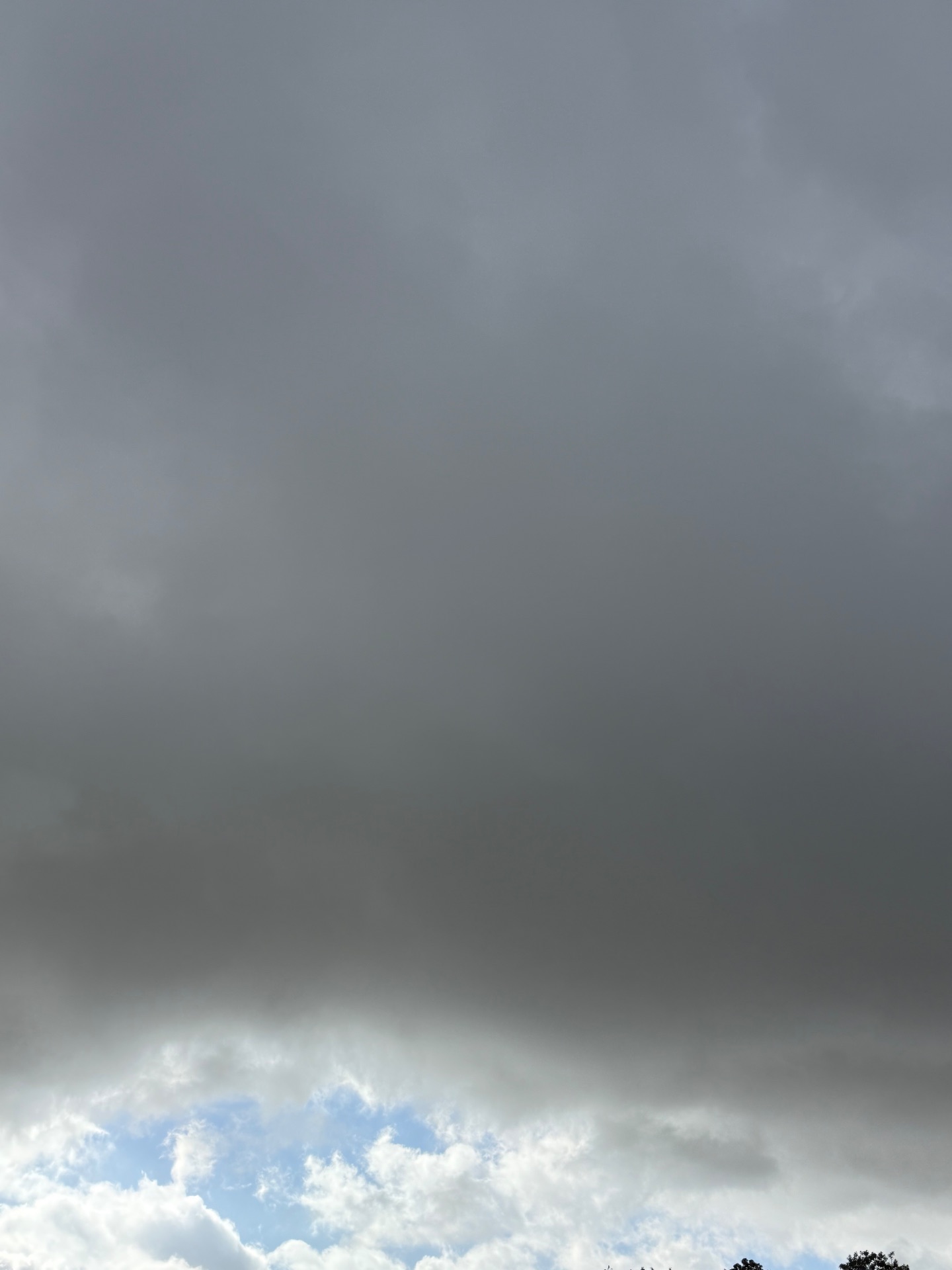 It’s sprinkling today cover