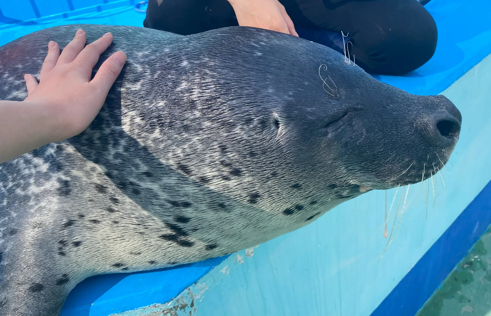 Pasted image 20260318052242.png