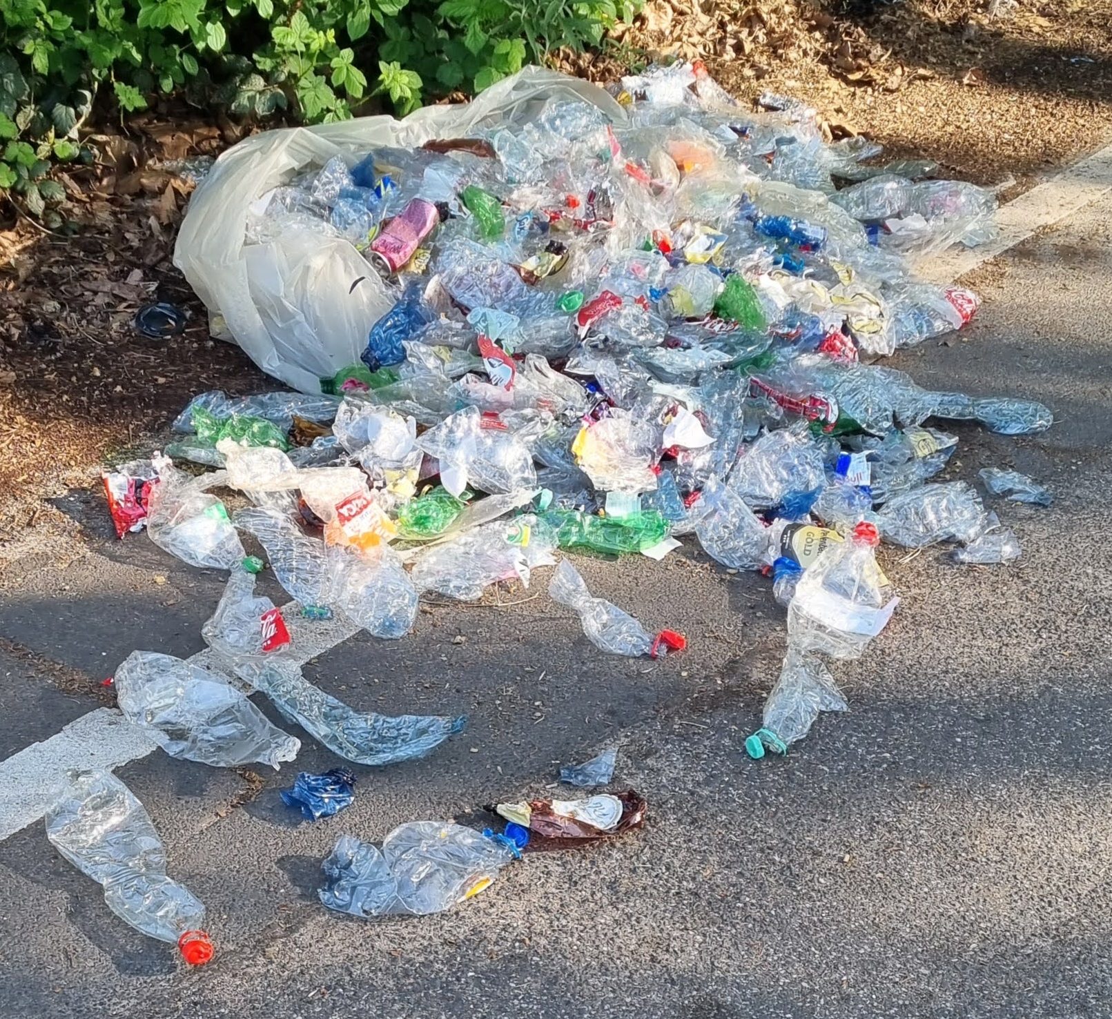 Aufgerissene Säcke mit vielen leeren Plastikfalschen am Rand einer Straße.