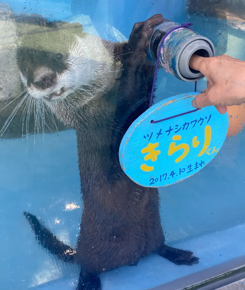 Pasted image 20260318052227.png