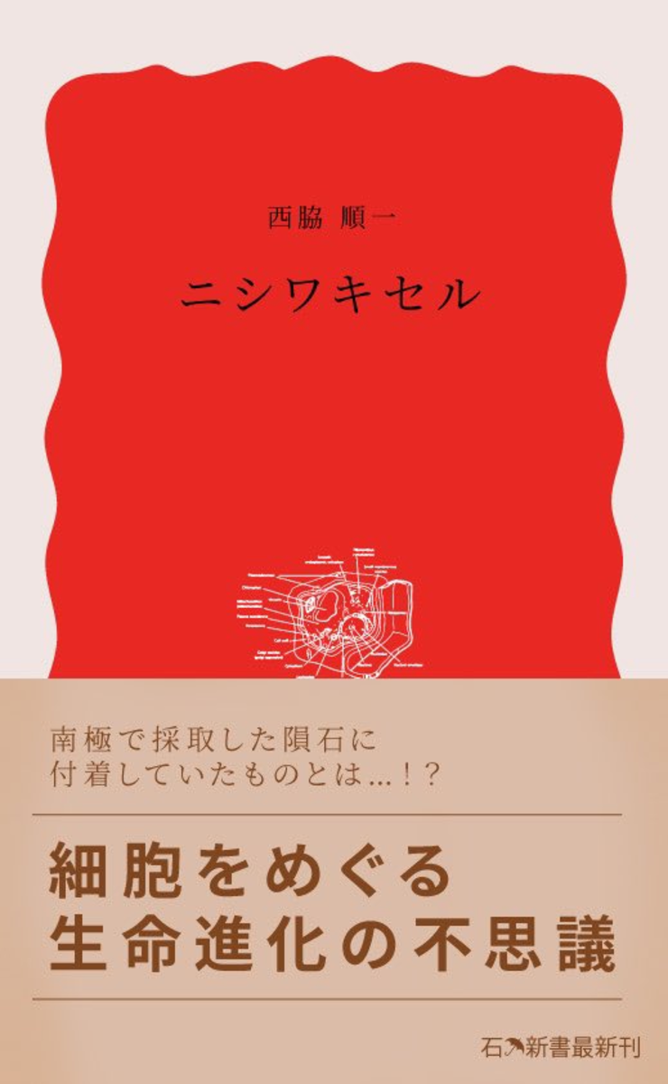 mzn/ミズノシンヤ on Twitter / X