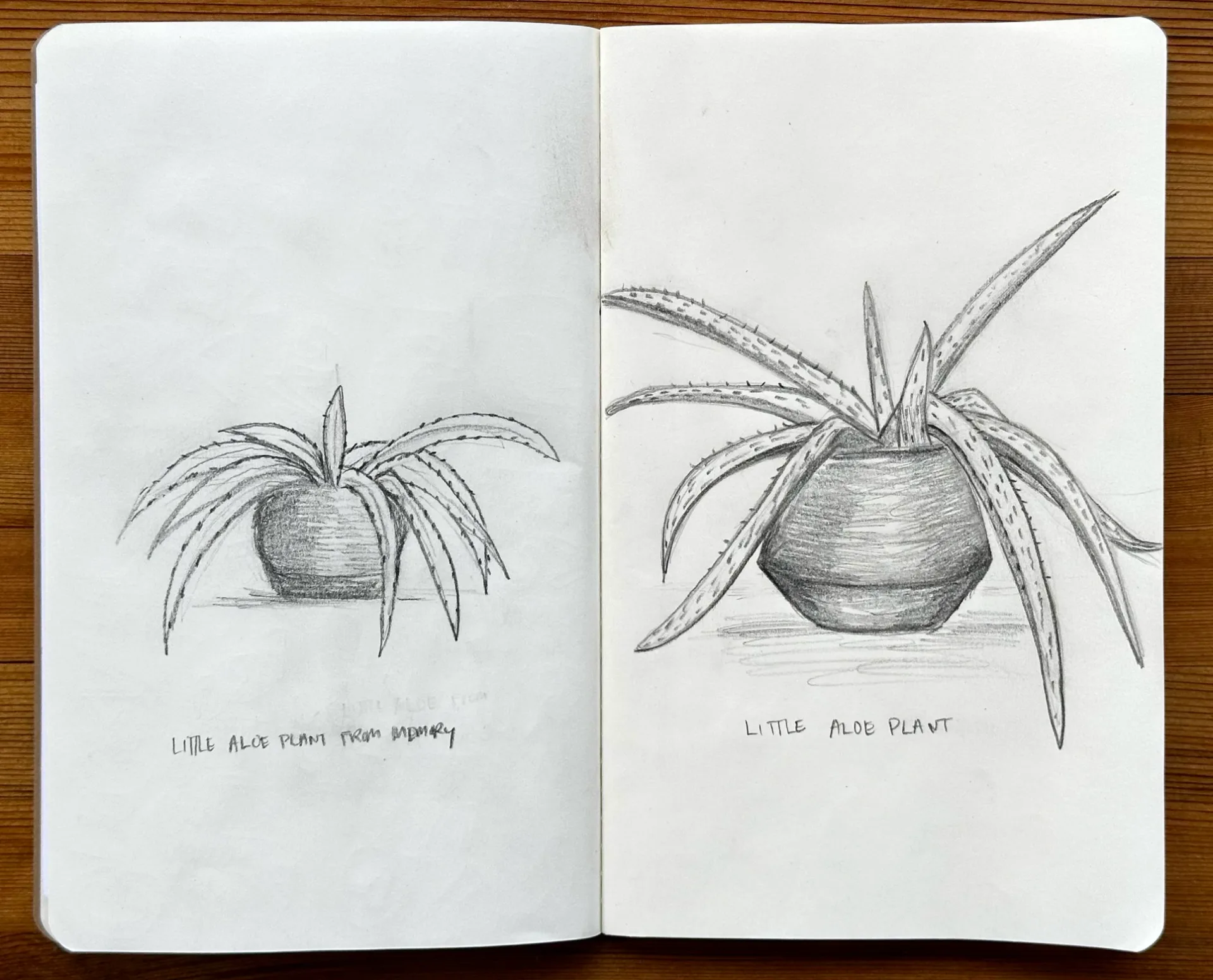 Screenshot 2026-02-07 at 1.30.08 PM.png