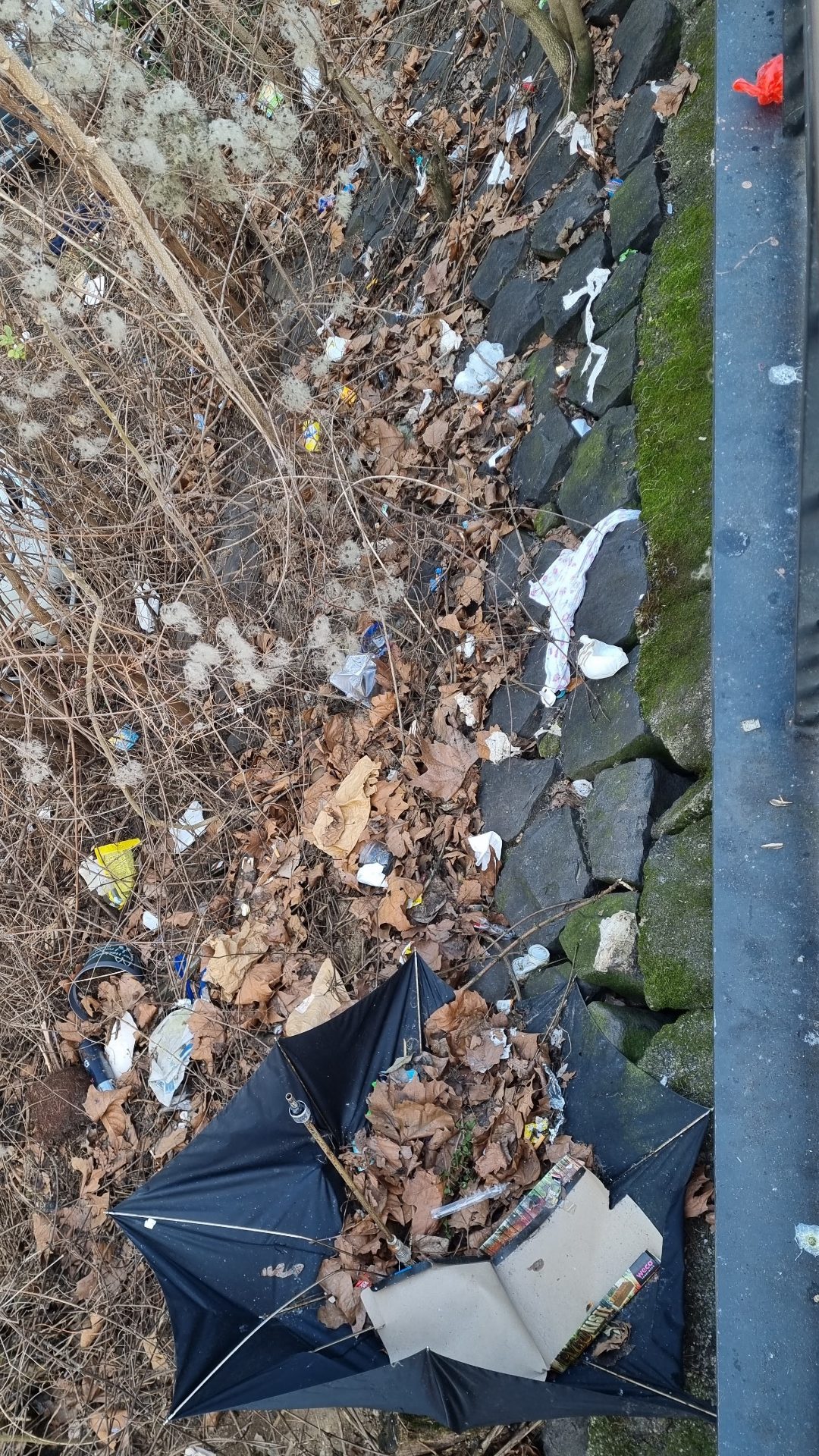 Wilder Müll auf einer Böschung an einer Bushaltestelle.