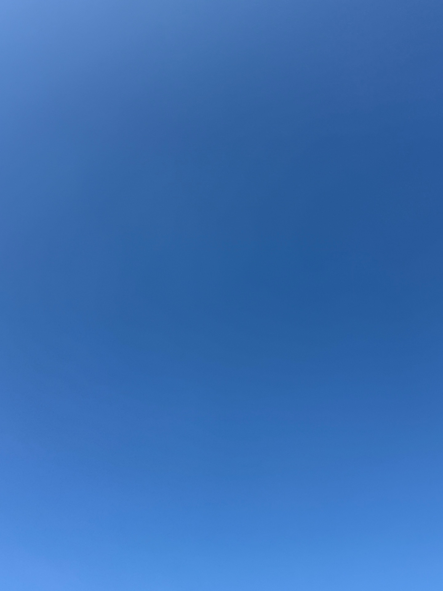 It’s blue today cover