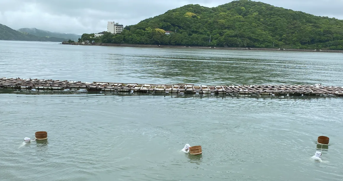 Pasted image 20260318022403.png