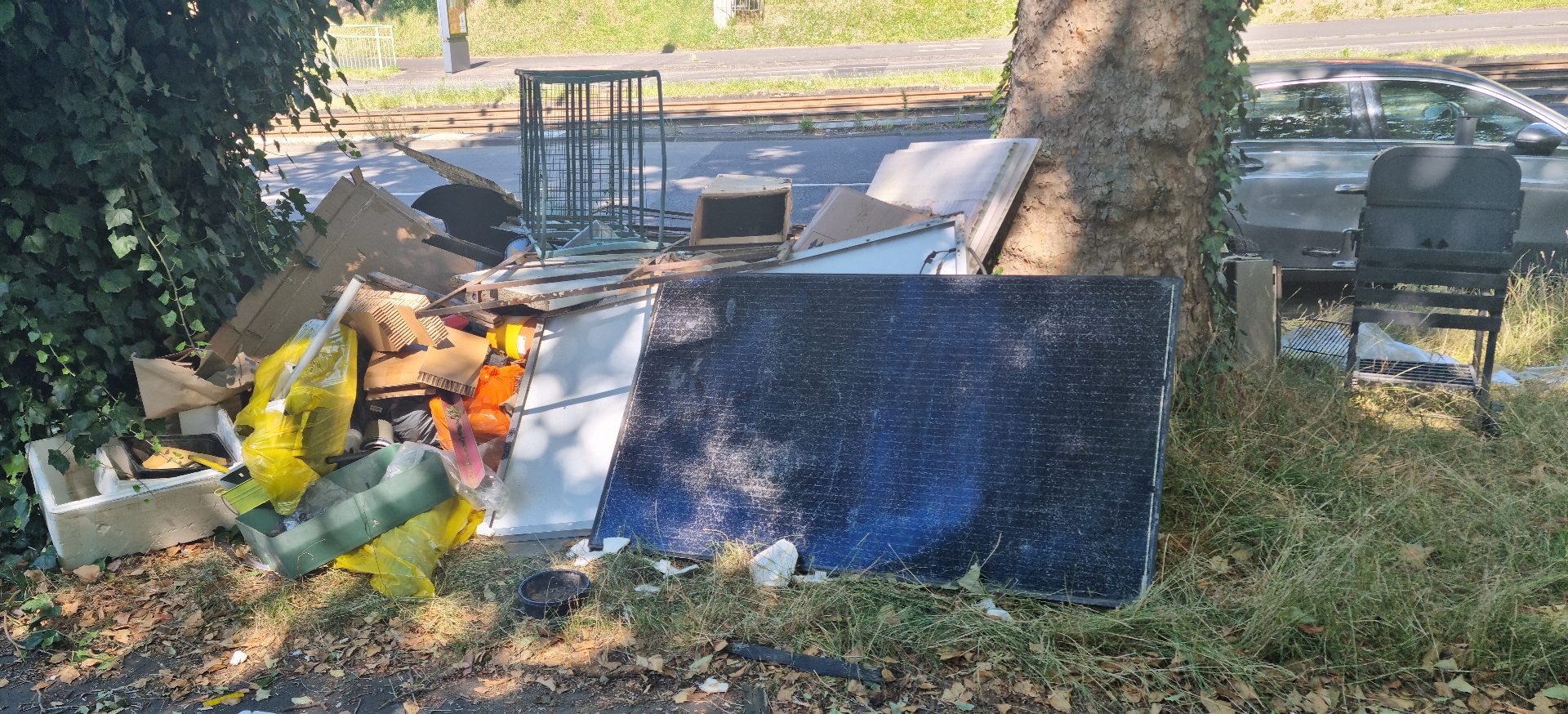 Wilder Müll auf einem Grünstreifen neben einer Straße.
