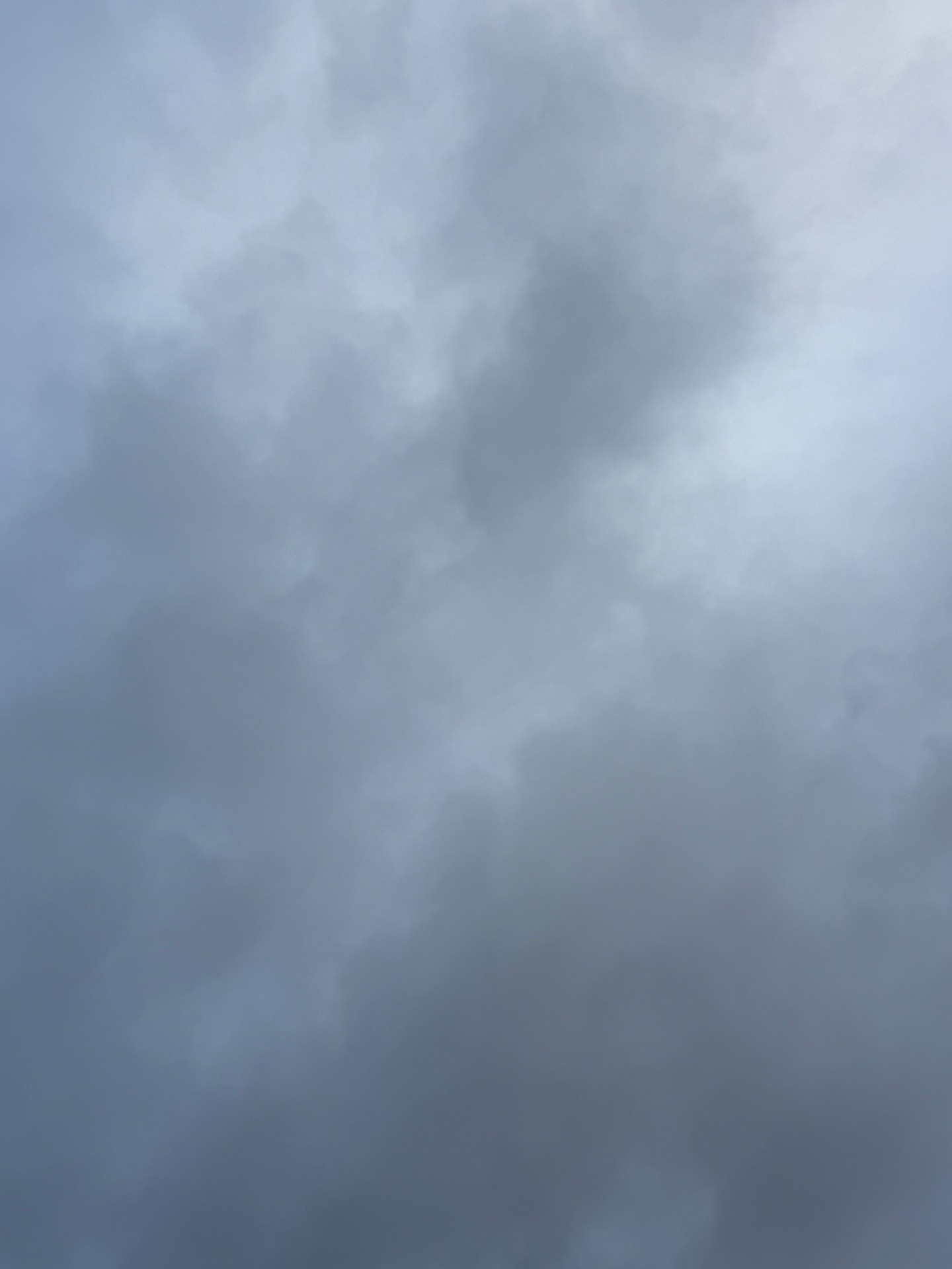 A little rain this morning cover