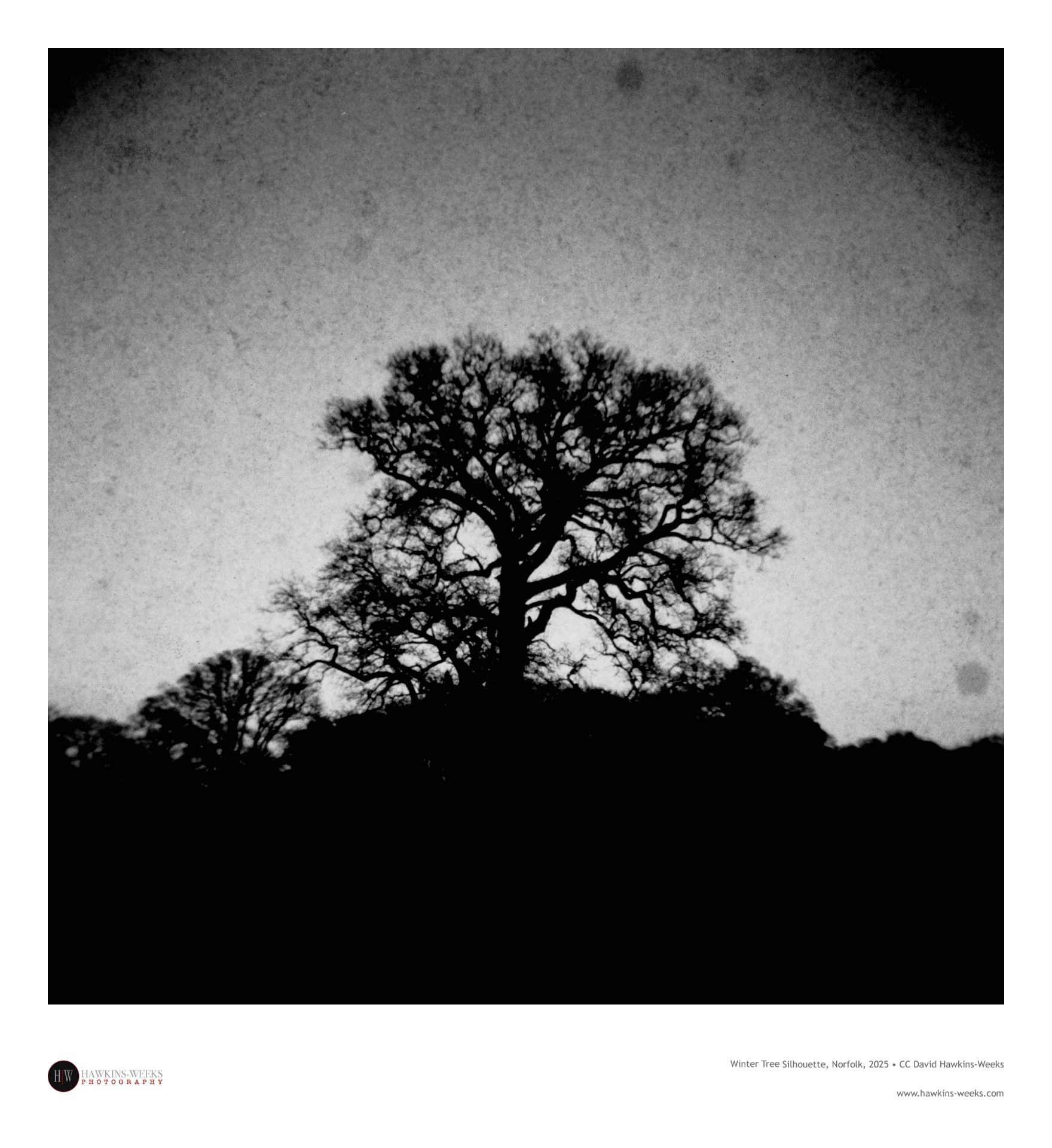 A black and white photograph captures the textured silhouette of a large, bare winter tree against a grainy, overcast sky. The tree's intricate, spreading branches dominate the center, rising from a completely dark, silhouetted hillside. The image features a heavy vignette, darkening the corners, and is framed by a wide white border.