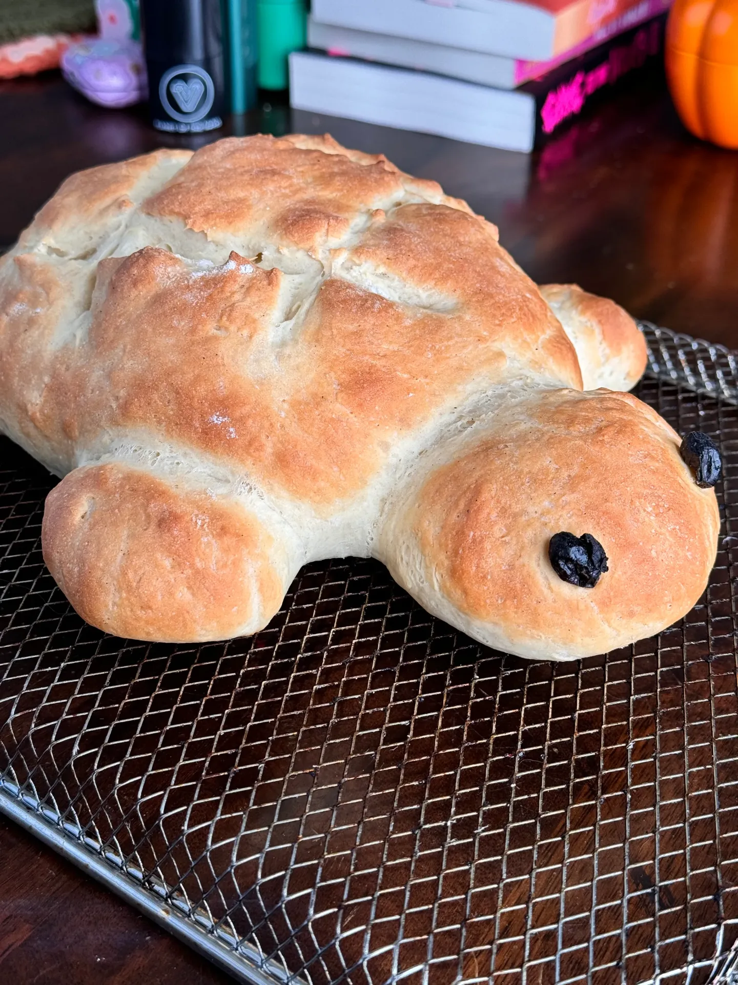 a side profile of the turtle shaped bread. he looks sweet and kind.