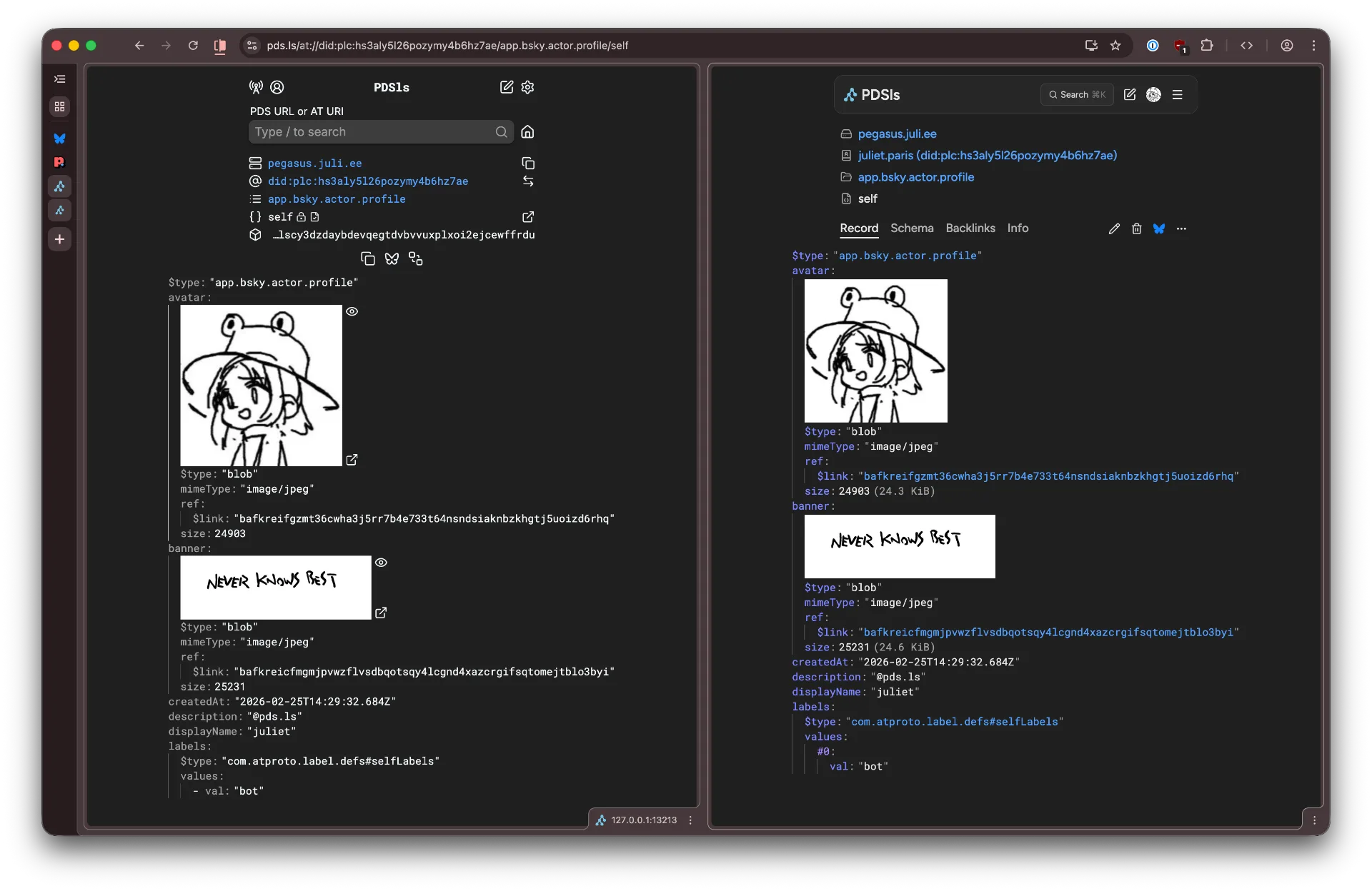 Comparison screenshot of two split tabs of the PDSls record page