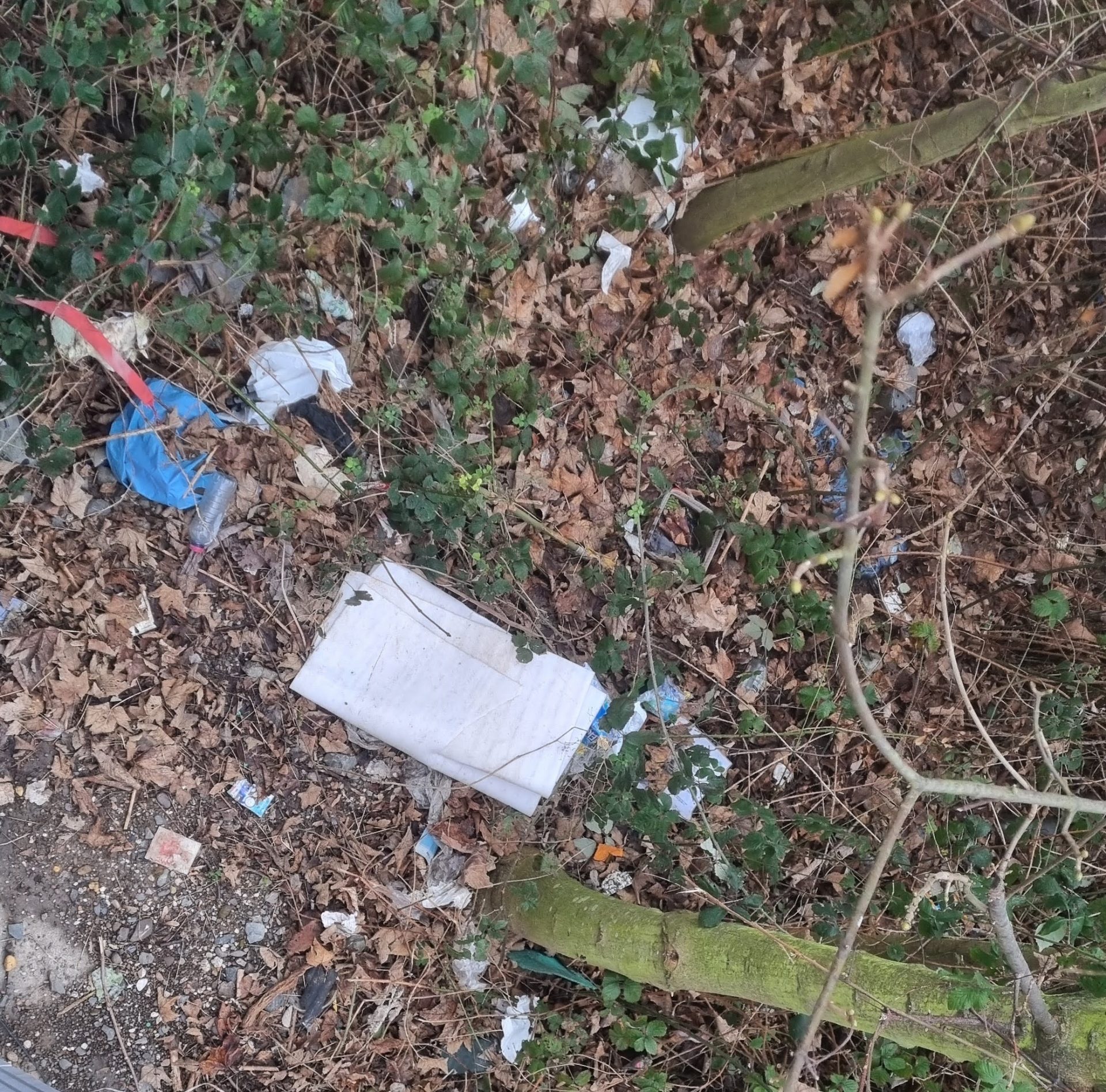 Wilder Müll auf der Böschung an einer Bushaltestelle.