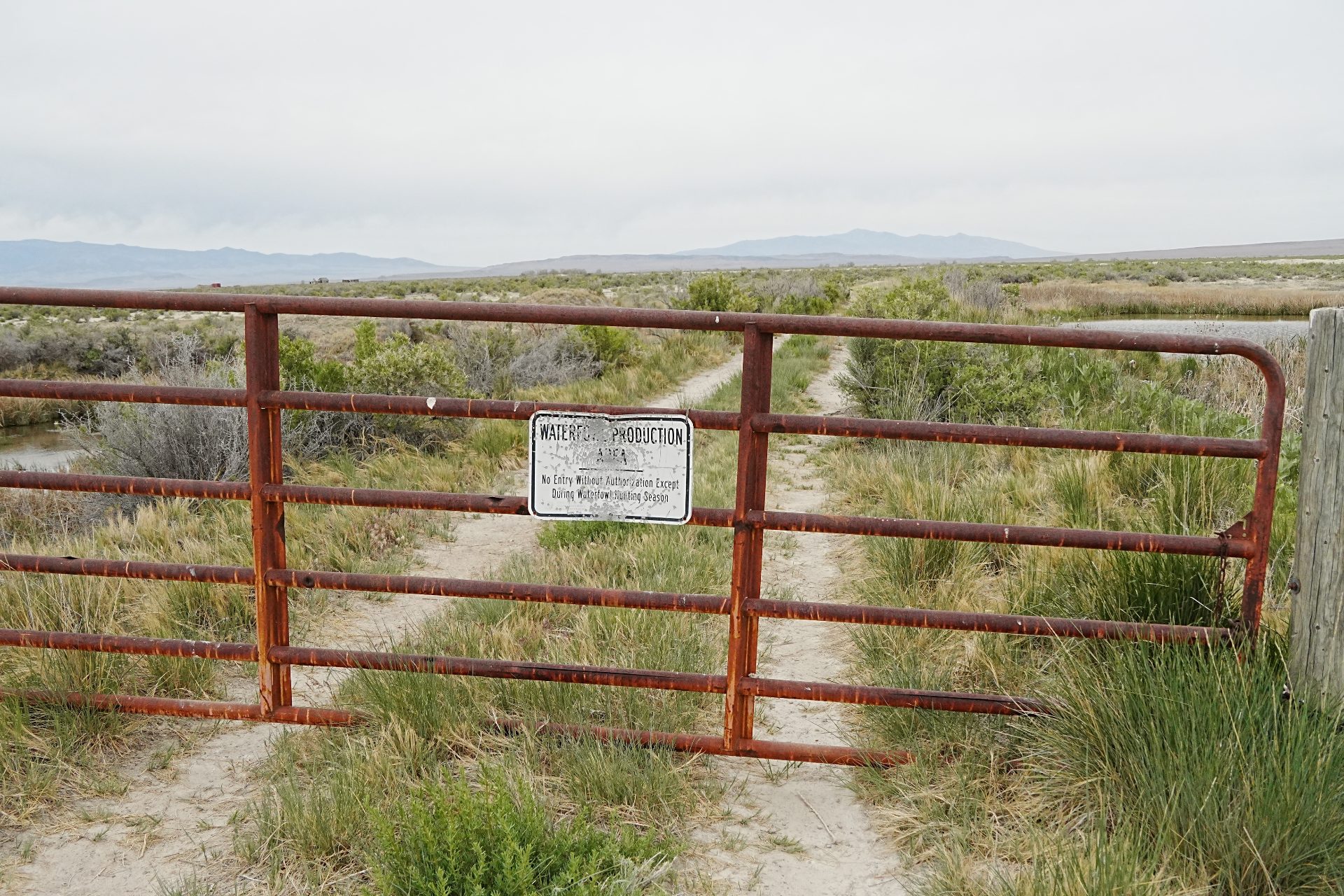 A gate indicating that the public is not allowed on the dirt road behind it, which is vegetated with various riparian plants and scrub.