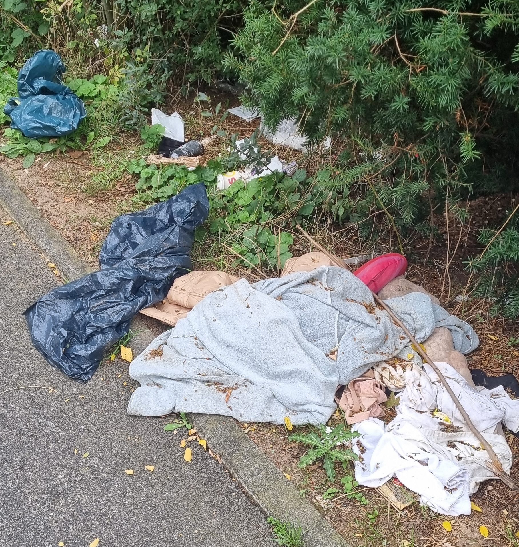 Wilder Müll vor einem Gebüsch.