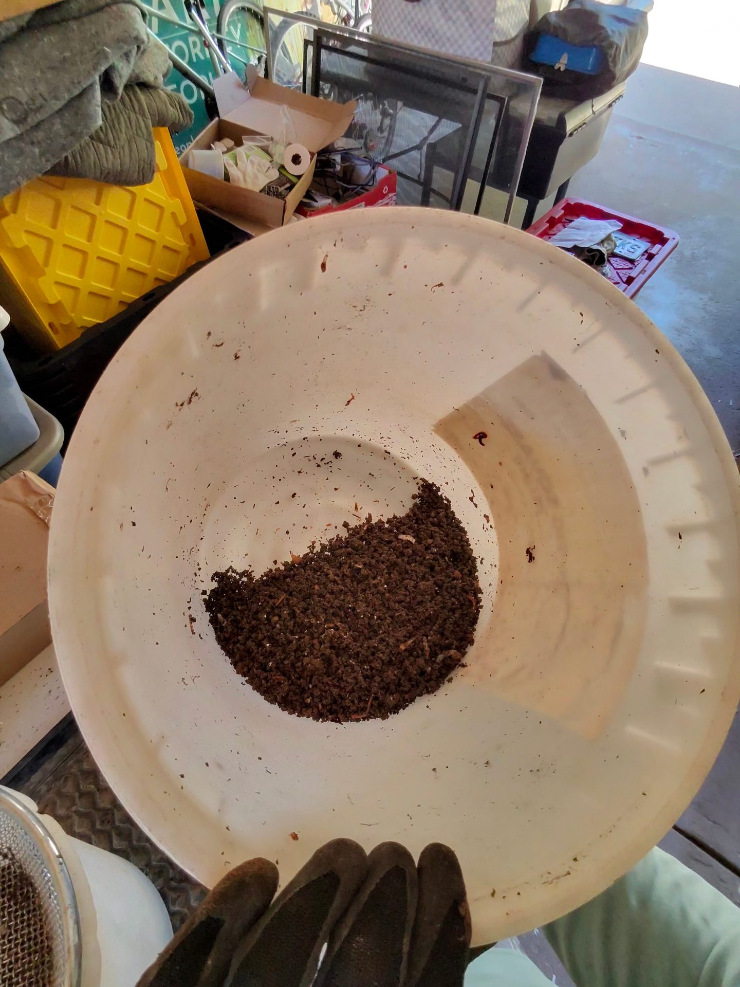 A bucket containing sifted vermicompost